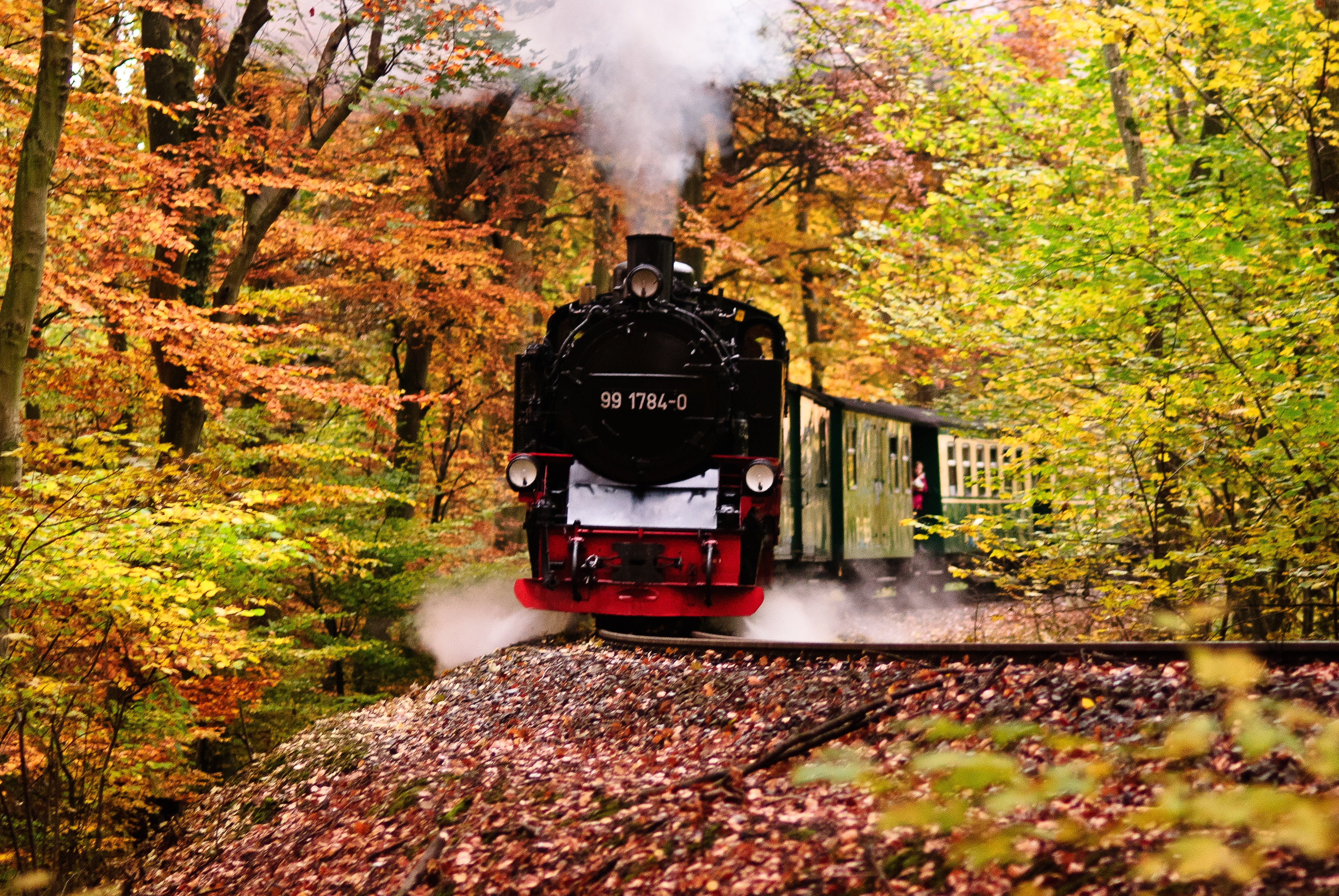 loco, nature, train - vehicle, steam railway, forest, change, smoke - physical structure, railway, tree, no people, land vehicle, rail transportation, outdoors, HD Wallpaper
