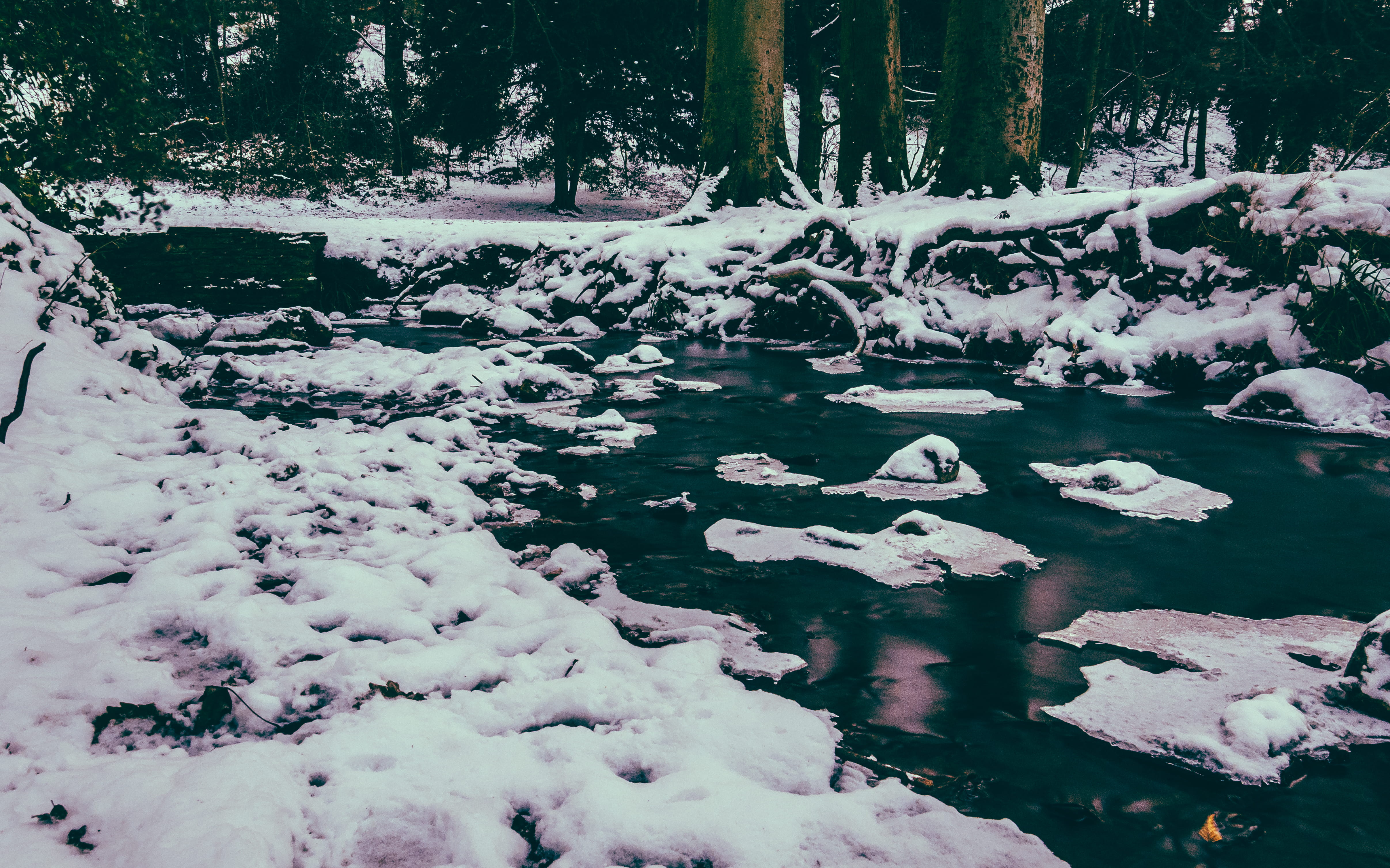 winter, snow, sheffield, cold temperature, tree, plant, ixe, tranquility, cold, day, scenics - nature, flowing water, forest, weather, roots, outdoors, HD Wallpaper
