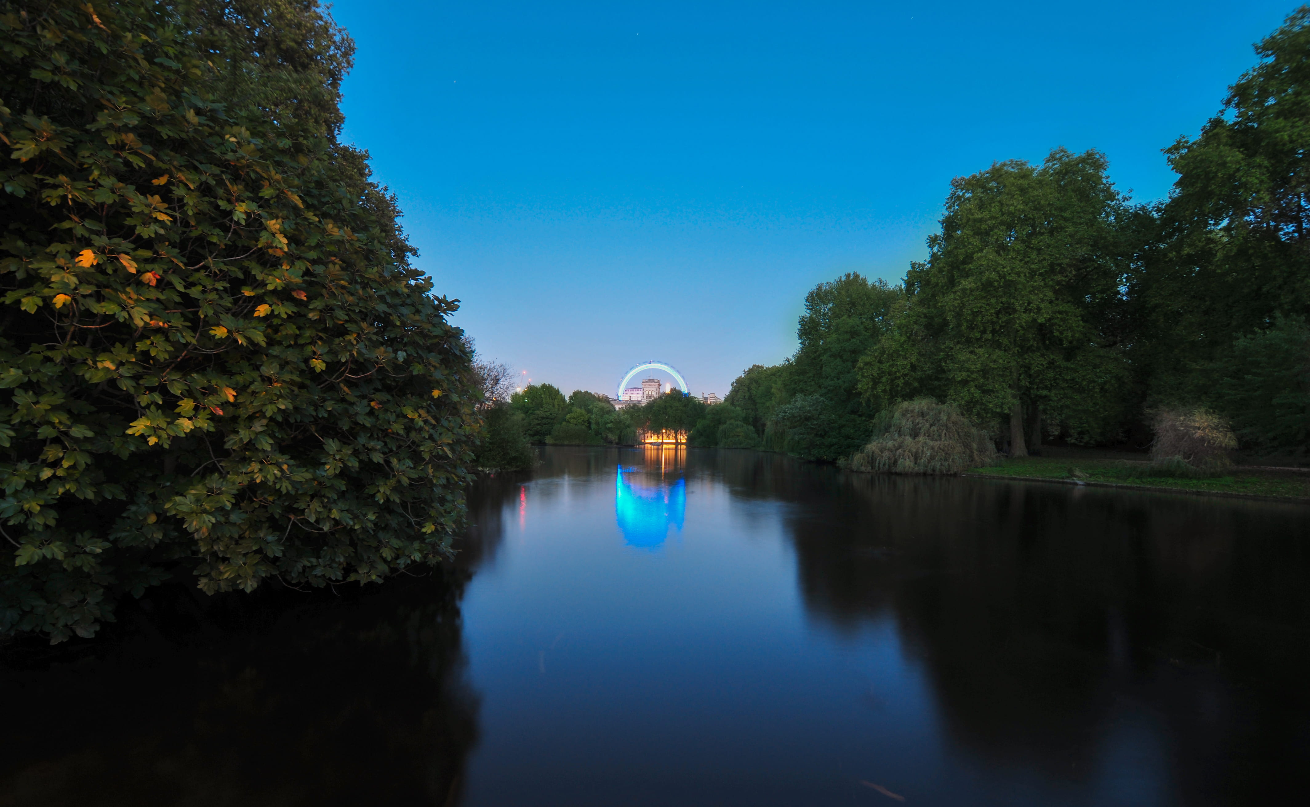 4K, london eye, lake, green, water, england, lights, scenics - nature, sky, outdoors, night, waterfront, tree, uk, tranquil scene, green color, reflection, HD Wallpaper