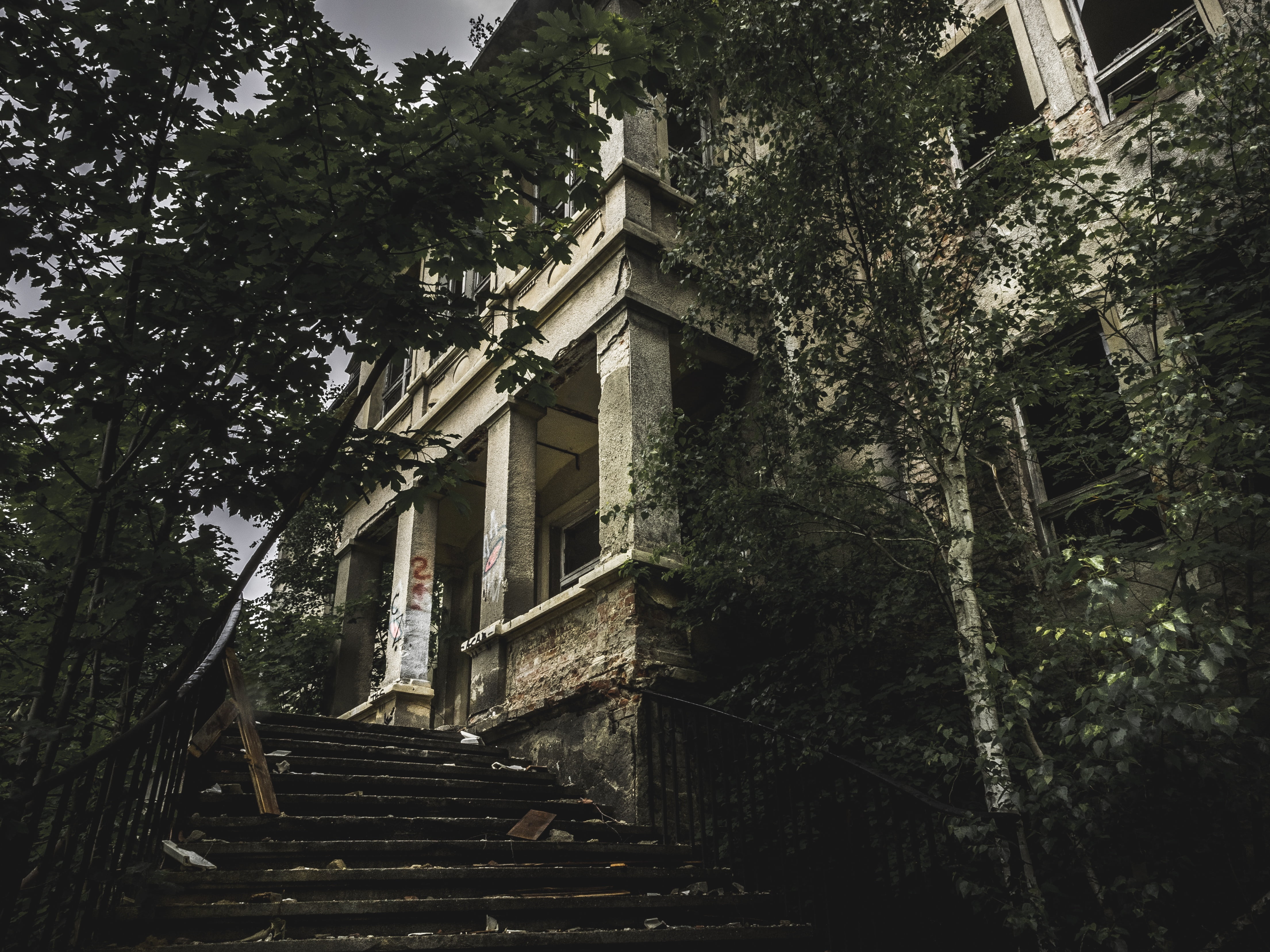 old, building, religion, angle, outdoors, concrete, nightmare, steps, secret, old ruin, nature, railing, tree, low, institute, plant, shadow, 4K, ailing, HD Wallpaper