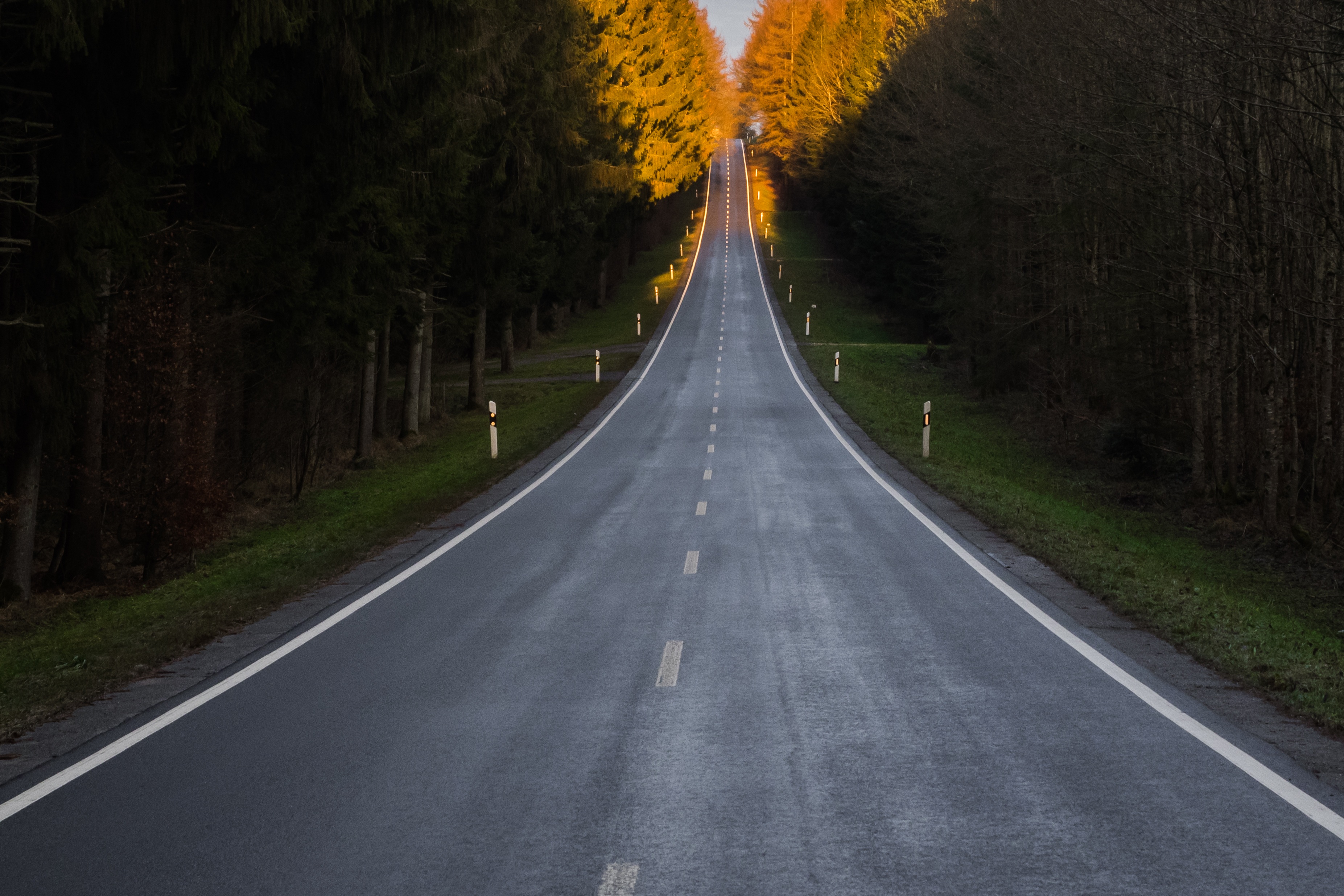 street, infinity, marking, endless, vanishing point, valley, wide, direction, dividing line, asphalt, sign, nature, side, no people, tree, central reservation, HD Wallpaper