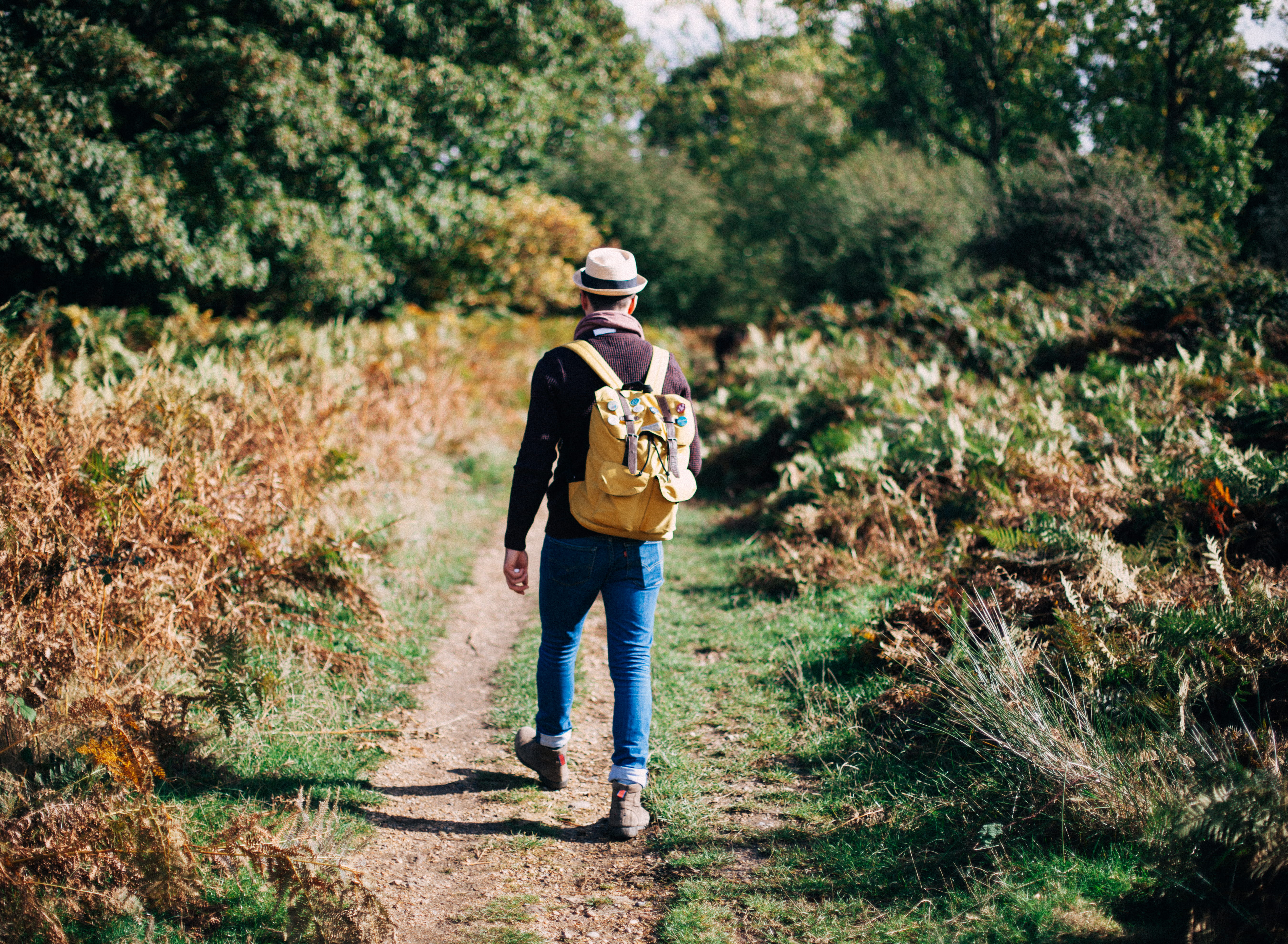 adventure, casual clothing, 5K, growth, road, people, adult, leisure, men, man, hike, leisure activity, outdoors, summer, land, fashion, dirt road, trees, HD Wallpaper