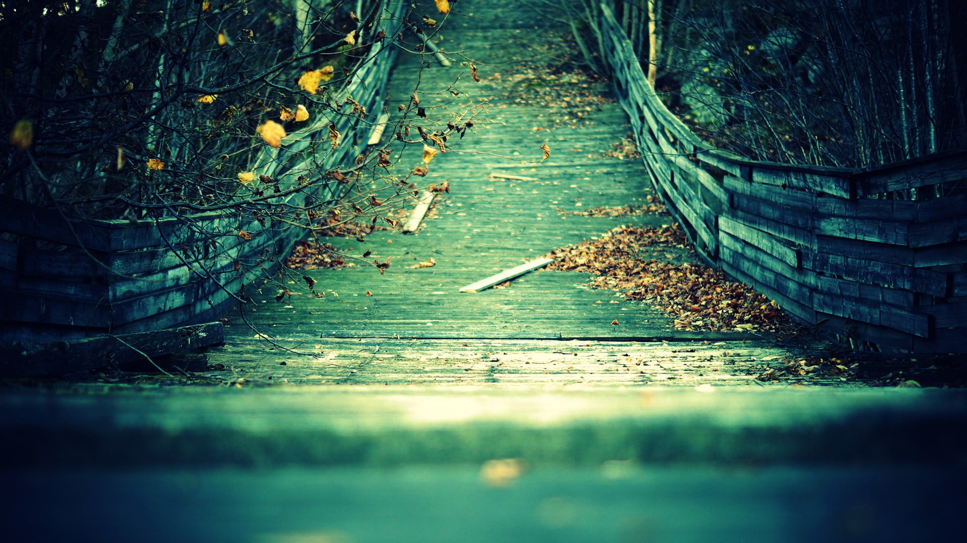 retro Styled, landscape, SkiJump, woodland, branch, 1080P, scenics, rural Scene, vignette, autumn, wooden surface, the way forward, abandoned, leaf, land, HD Wallpaper