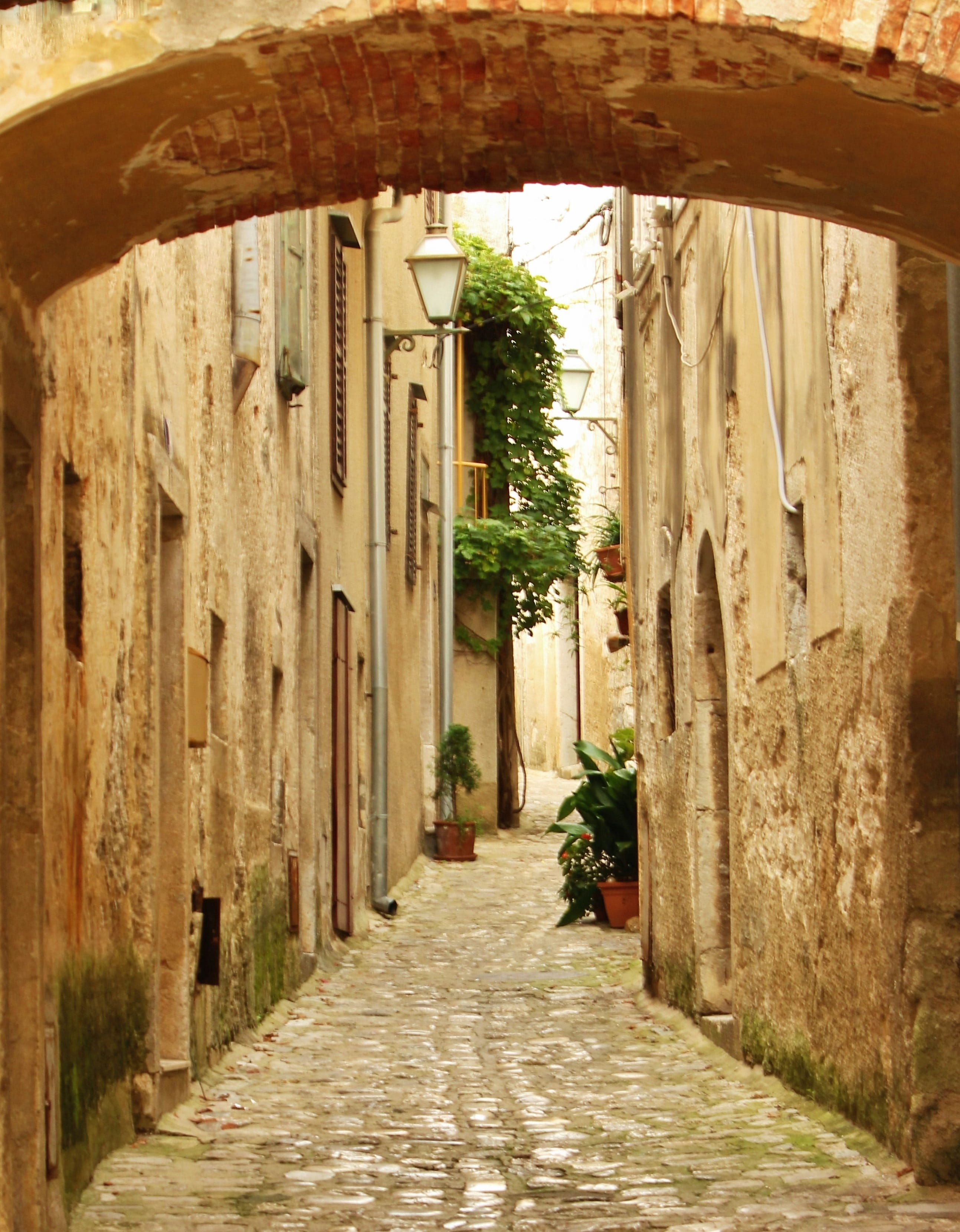 Alley, entrance, outdoors, built Structure, arch, old-fashioned, footpath, tree, house, europe, the way forward, history, narrow, diminishing perspective, Phone HD Wallpaper