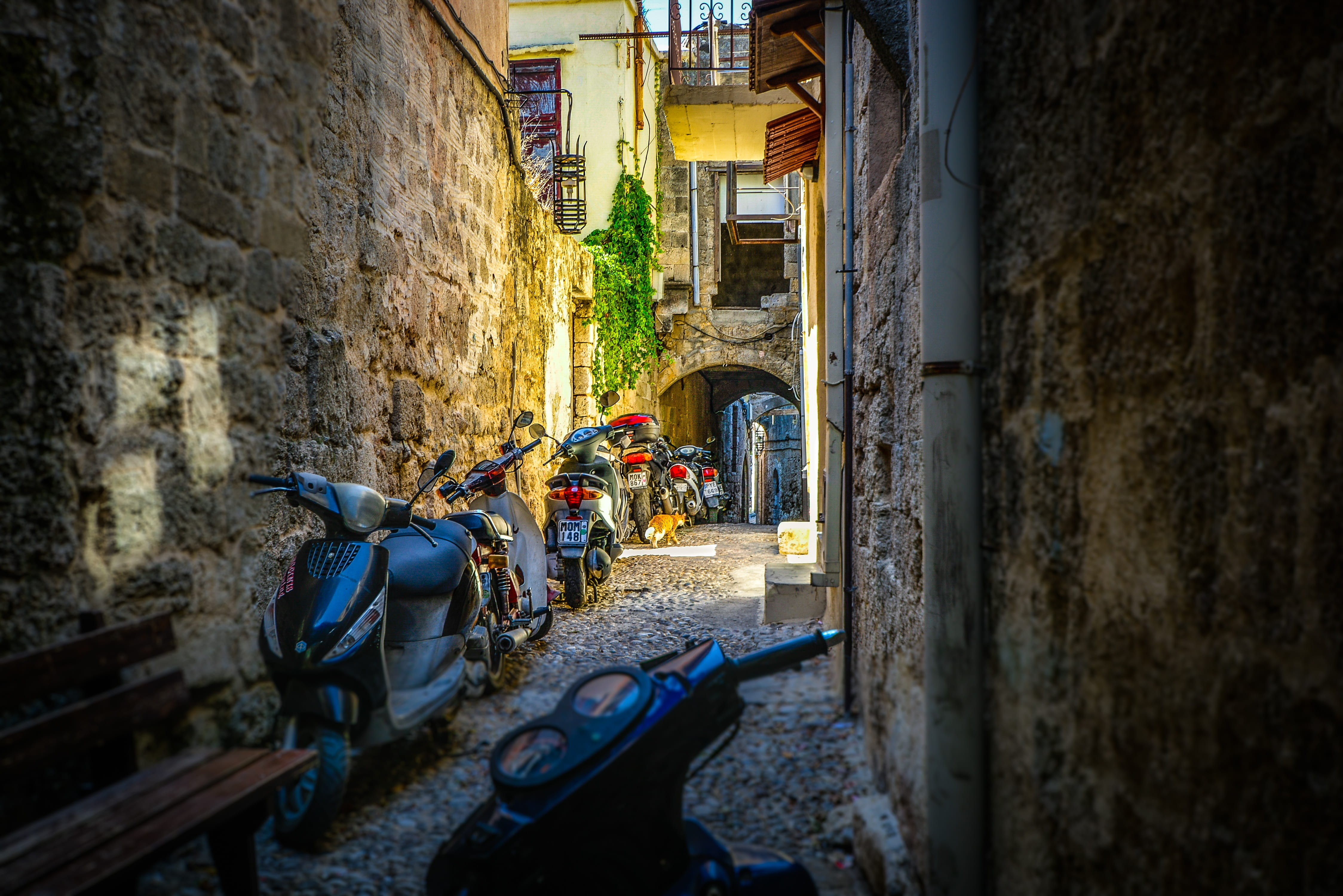 archway, Rhodes, town, wall, kitty, scooter, stray, feline, stone, old, tourist, greece, cat, Greece, Ancient, road, motorcycle, land vehicle, rodos, city, HD Wallpaper