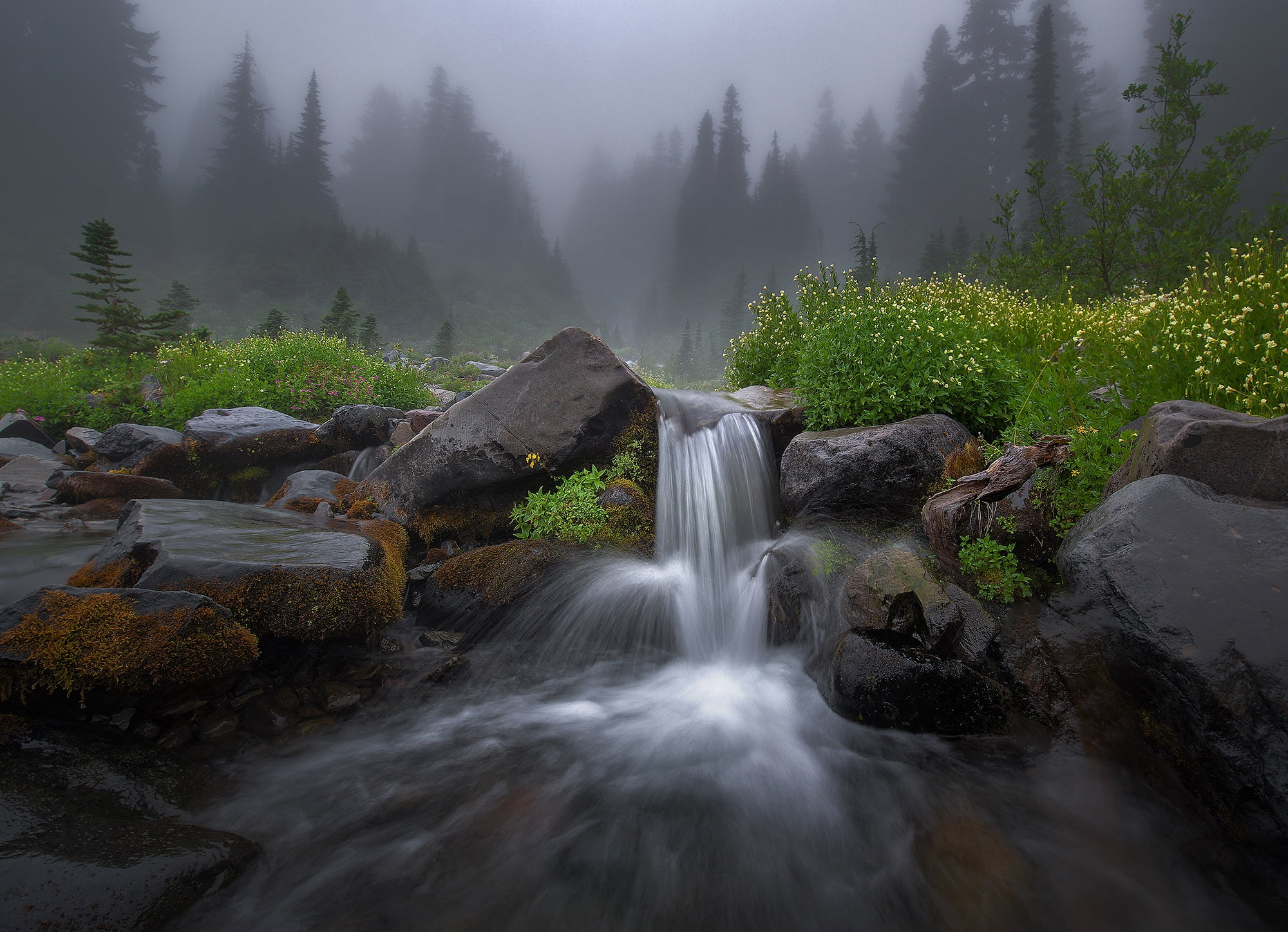waterfall, blurred motion, water, forest, stream - flowing water, rocks, rock, long exposure, nature, plant, no people, non-urban scene, motion, HD Wallpaper
