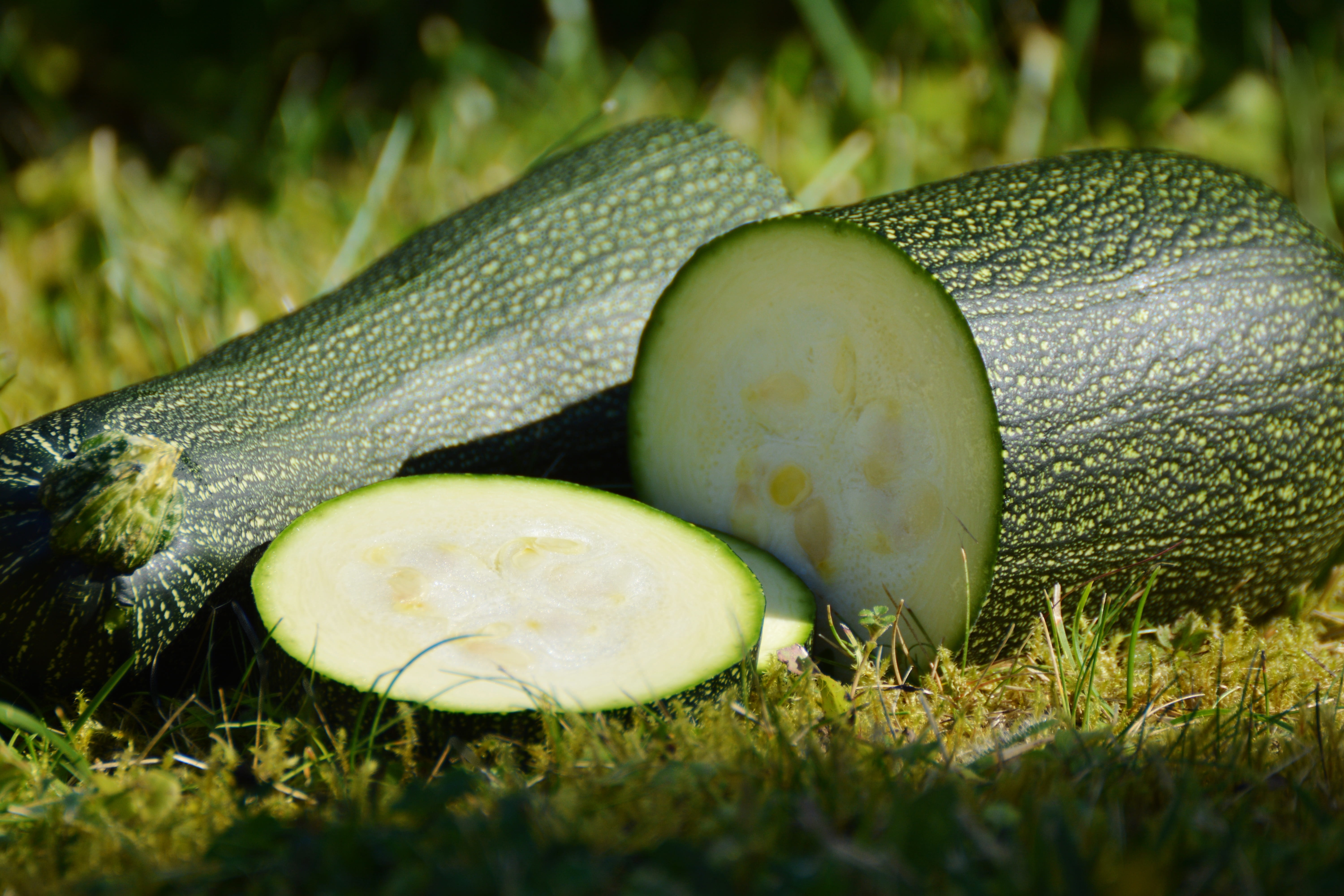 outdoors, close-up, food, 5K, green, bio, zucchini, fruit, day, cucumber, plant, pumpkin, sunlight, healthy eating, slice, vegetarian, vegetables, sliced, HD Wallpaper