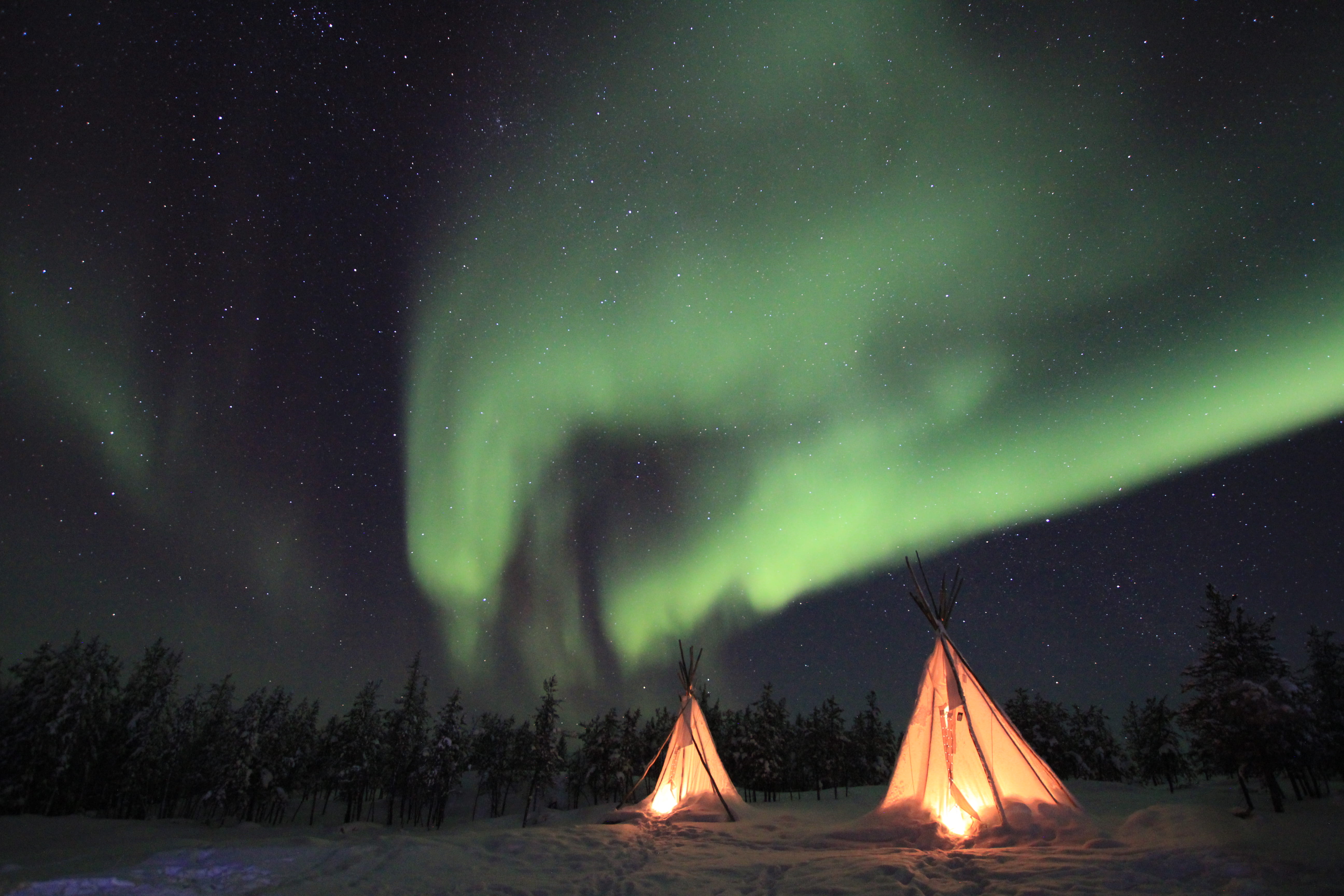 astronomy, tranquility, camp, forest, travel, star, light, sky, adventure, astrophotography, explore, lighted, aurora polaris, environment, tipi, illuminated, HD Wallpaper