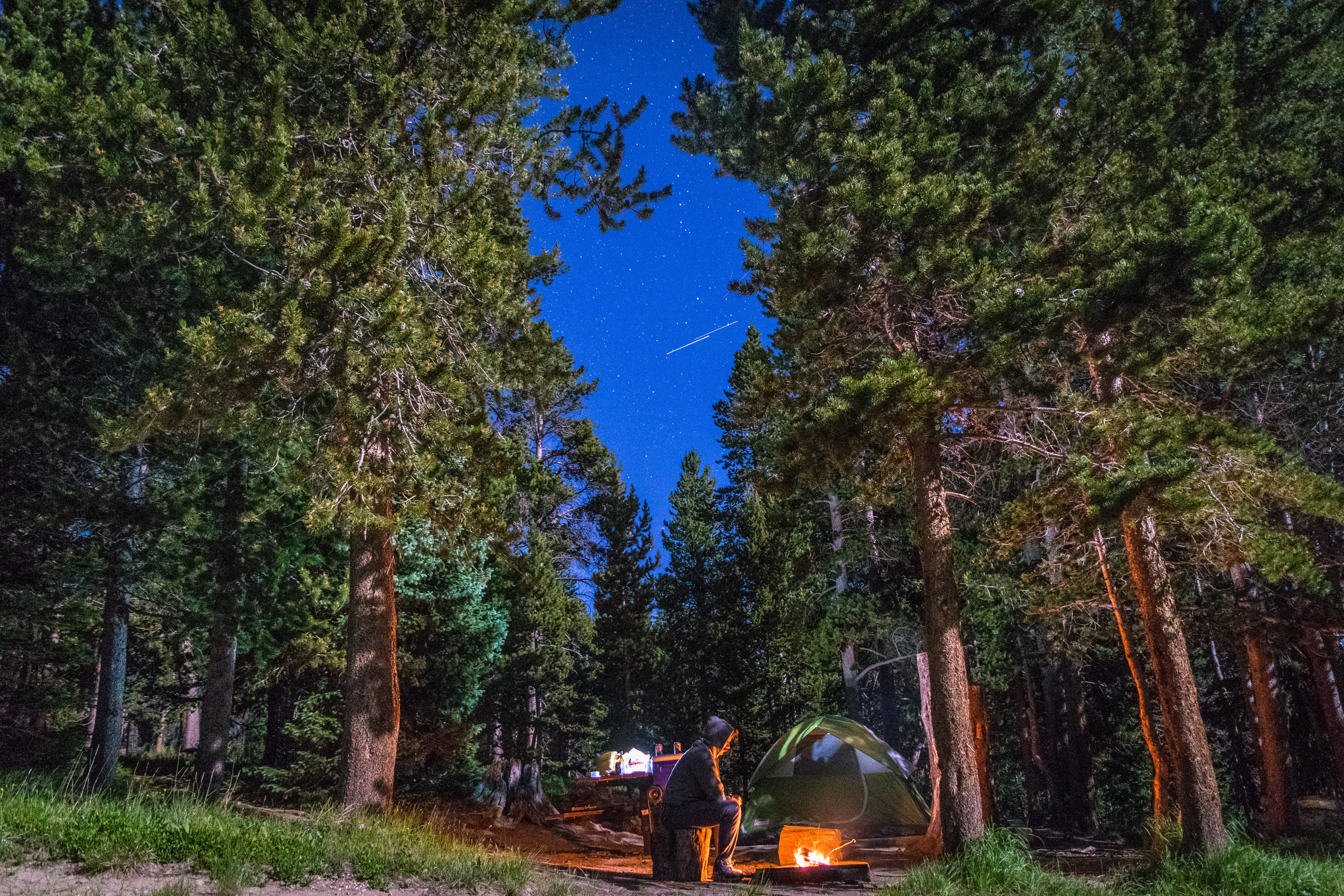 bonfire, rear view, togetherness, two people, people, camping, tent, real people, men, tree, nature, transportation, leisure activity, man, day, person, HD Wallpaper