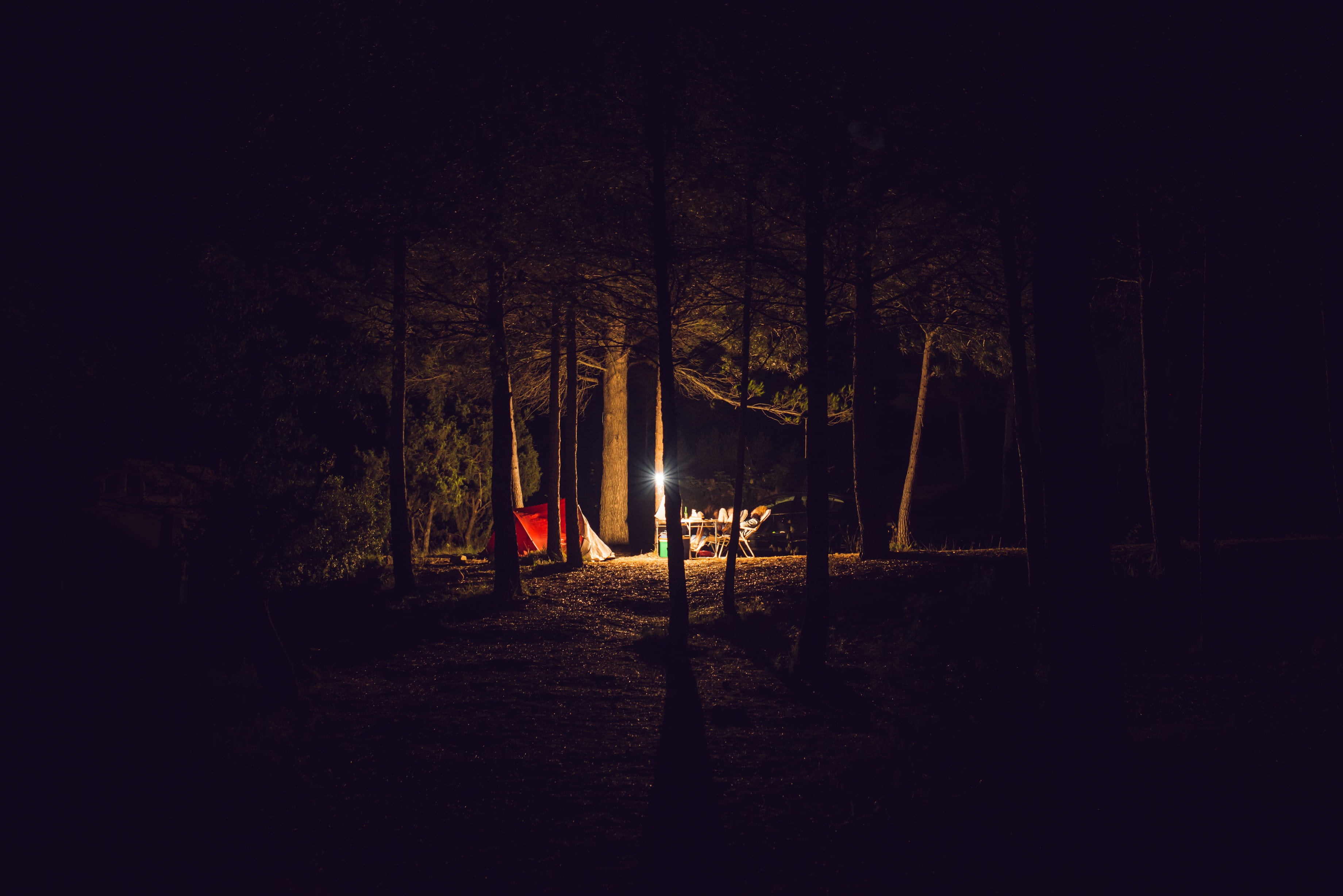 forest, sunset, tree, adventure, spooky, summer, night, eerie, camping, illuminated, dark, mountain, sunlight, light, outdoors, time, campsite, horror, HD Wallpaper