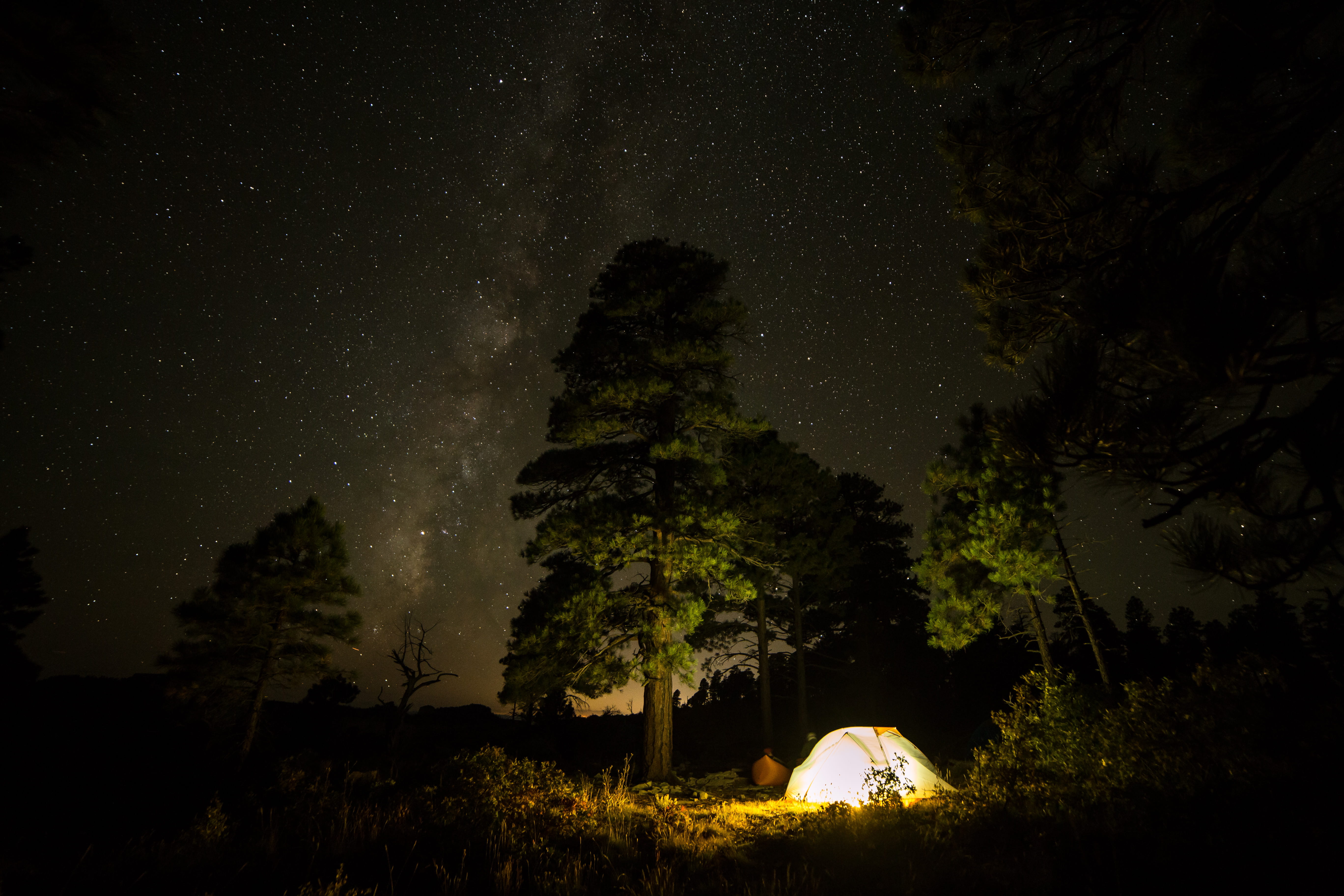 land, zion, beside, star, nature, tranquil scene, milky way, tent, plant, space, camping, forest, white, night, scenics - nature, tree, no people, glow, HD Wallpaper