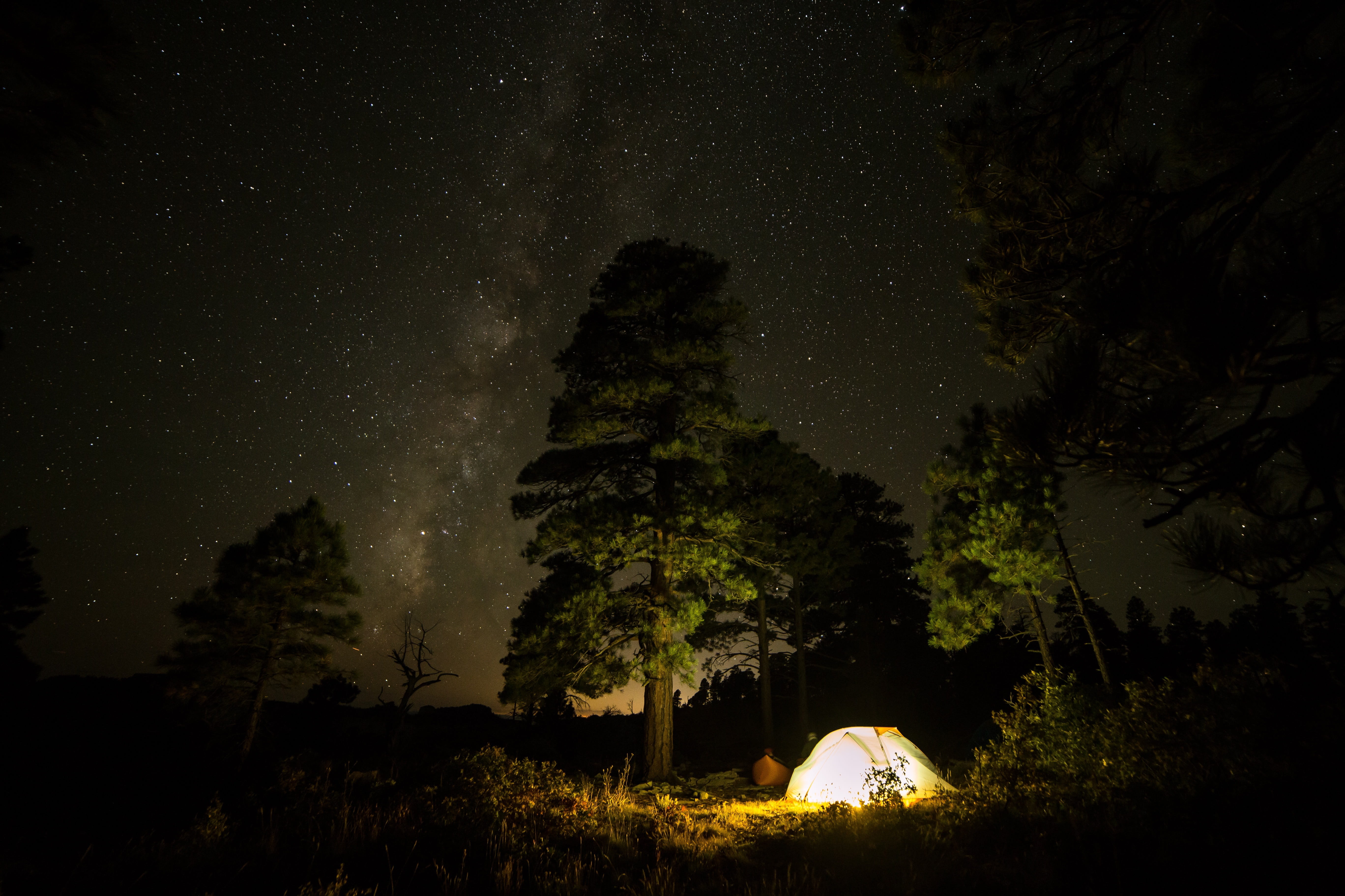 star - space, plant, land, light, nighttime, adventure, tree, woods, tranquility, grass, no people, illuminated, beauty in nature, space, camping, stars, HD Wallpaper