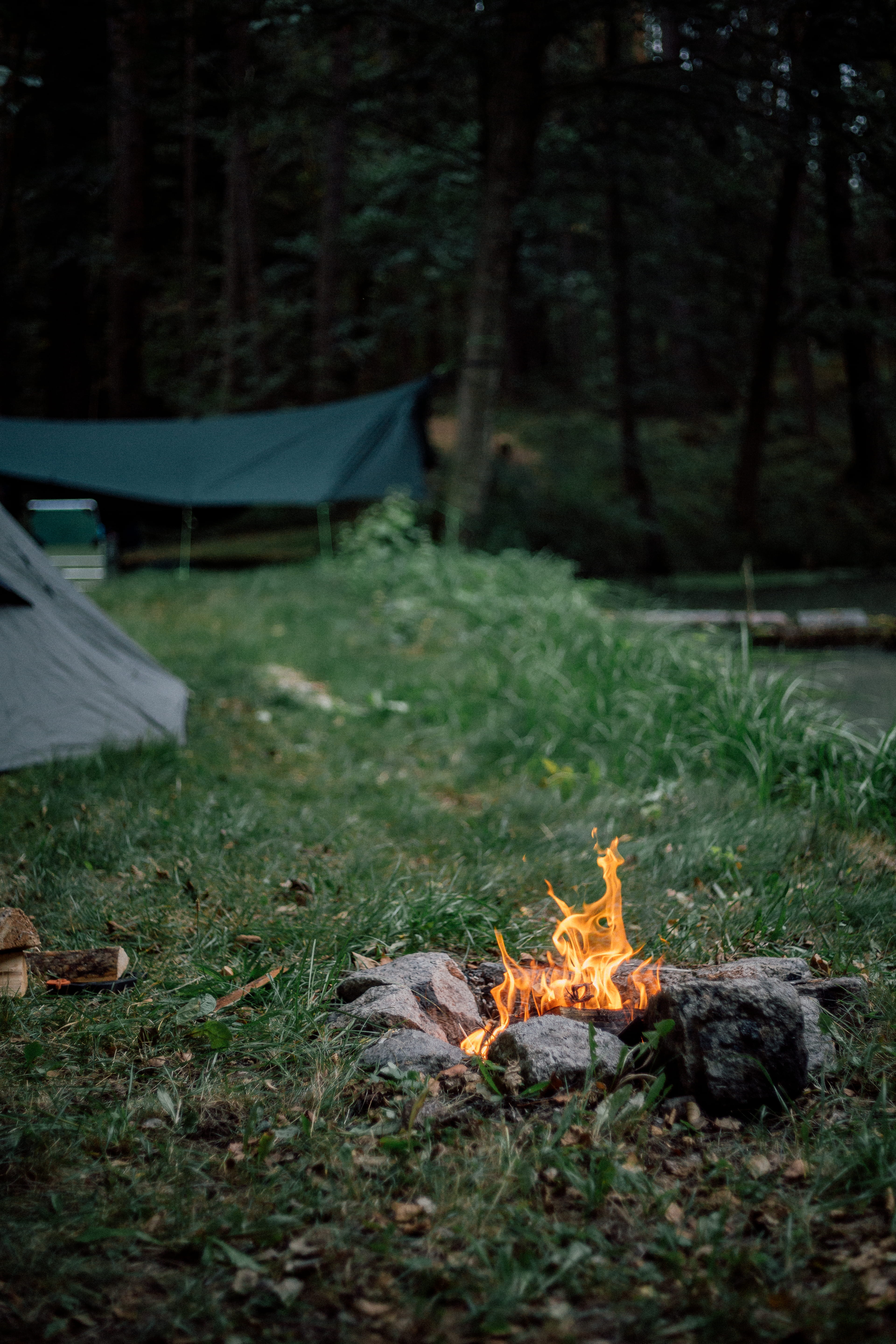 5K, vacations, fire, burning, heat - Temperature, campfire, summer, relaxation, grass, autumn, flame, outdoor, small, forest, woodland, hiking, rock, red, Phone HD Wallpaper