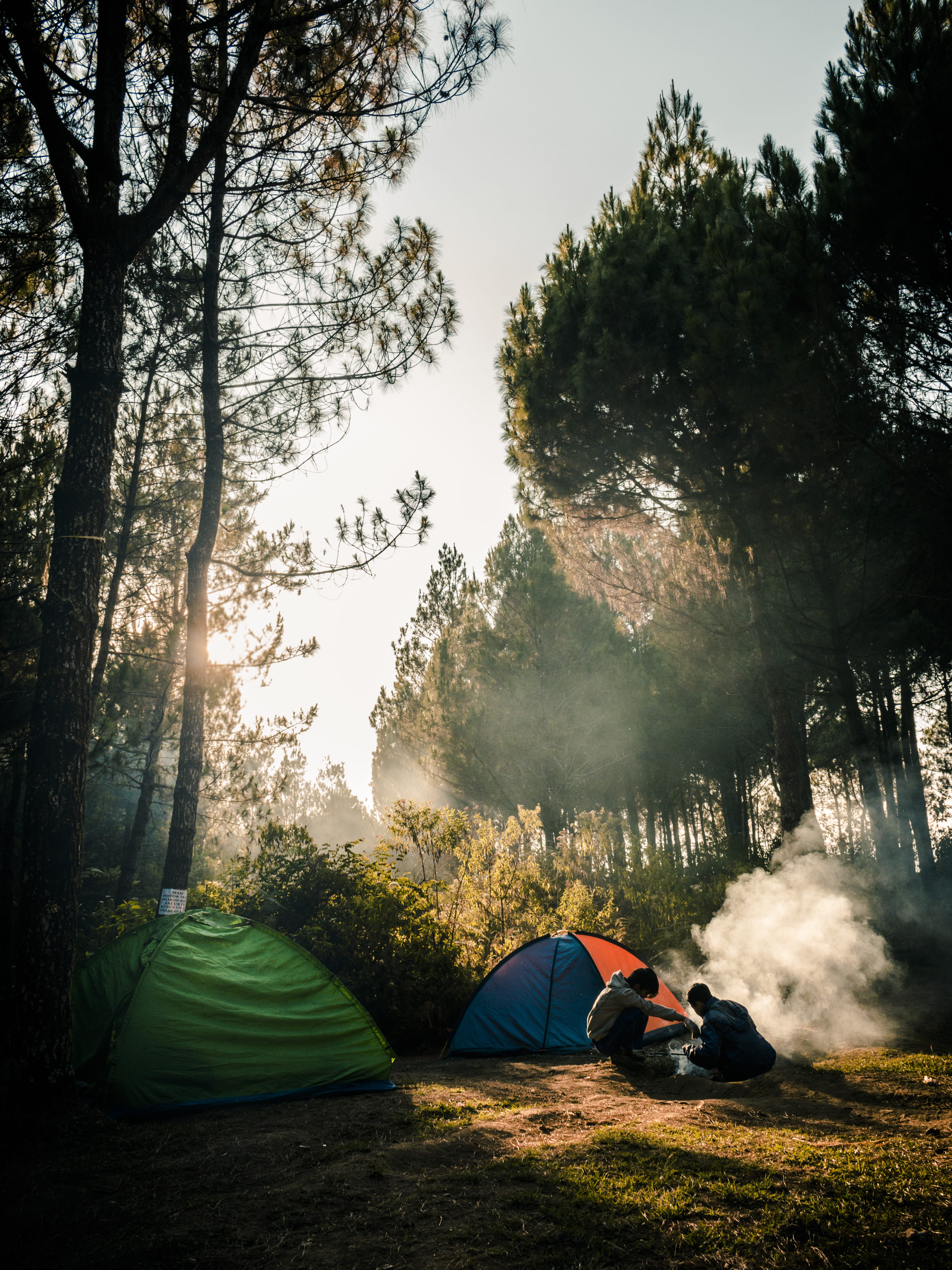 scenics - nature, tranquility, day, campers, sunrise, 4K, bonfire, mood, outdoors, sunset, sunlight, beauty in nature, green color, woods, two, growth, Phone HD Wallpaper