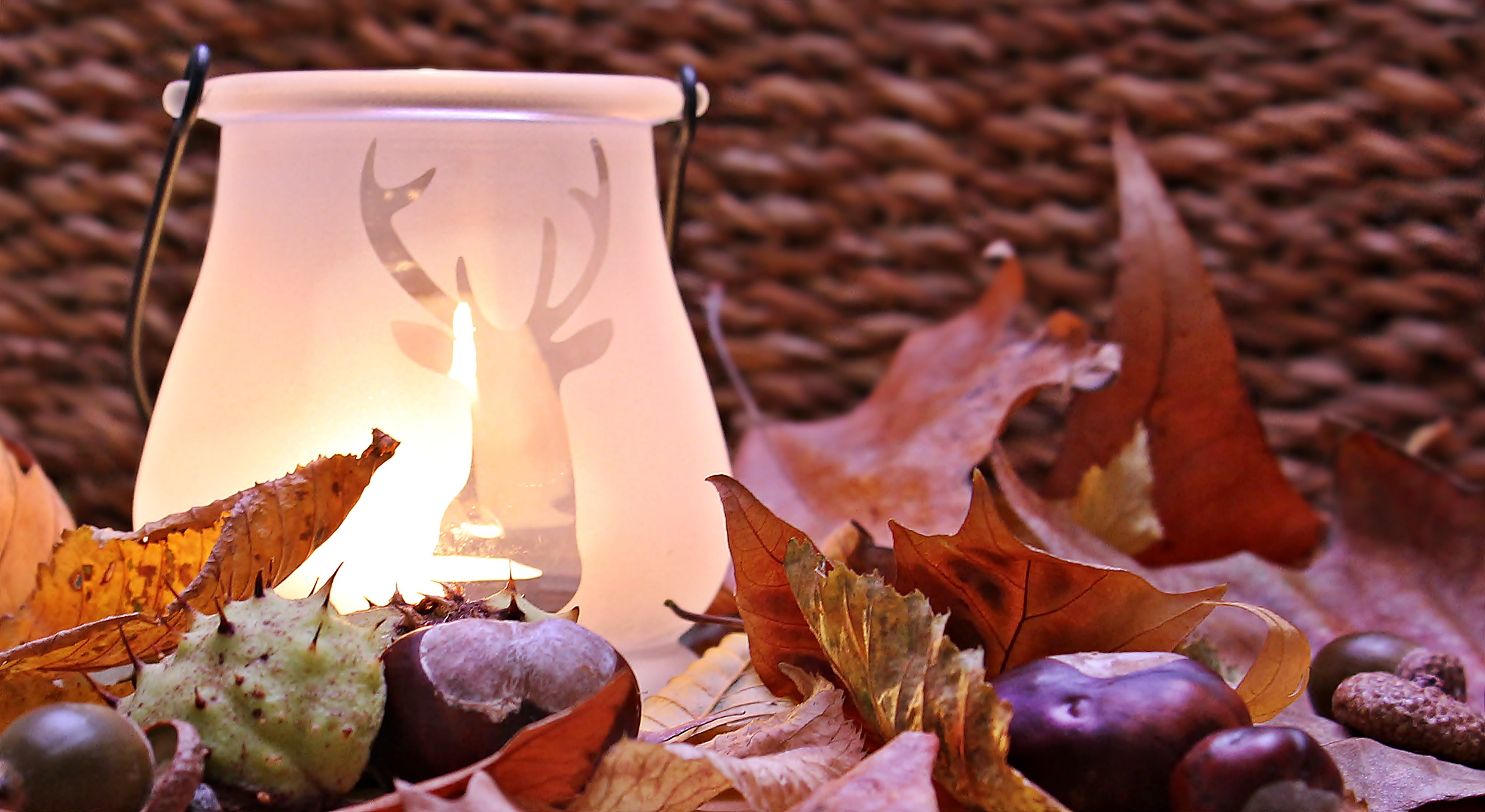 leafy, glowing, tealight, autumn, close-up, background, glass, burning, color, herbstdeko, deco, day, autumn greetings, fall leaves, maple leaf, no people, HD Wallpaper