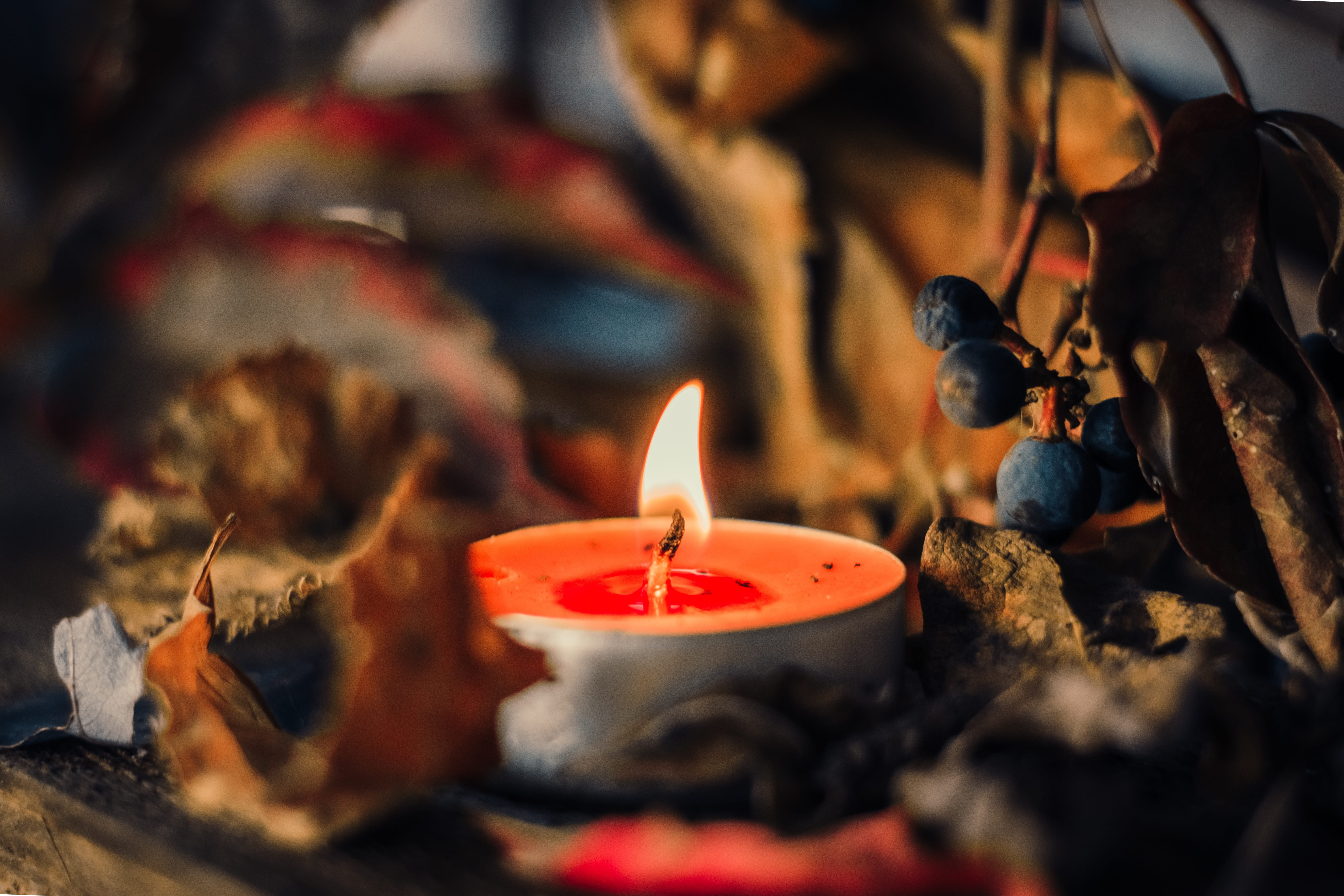 fall leaves, 5K, mood, illuminated, solid, fire, autumn motive, fall foliage, burning, fire - natural phenomenon, autumn mood, flame, bright, autumn leaf, HD Wallpaper