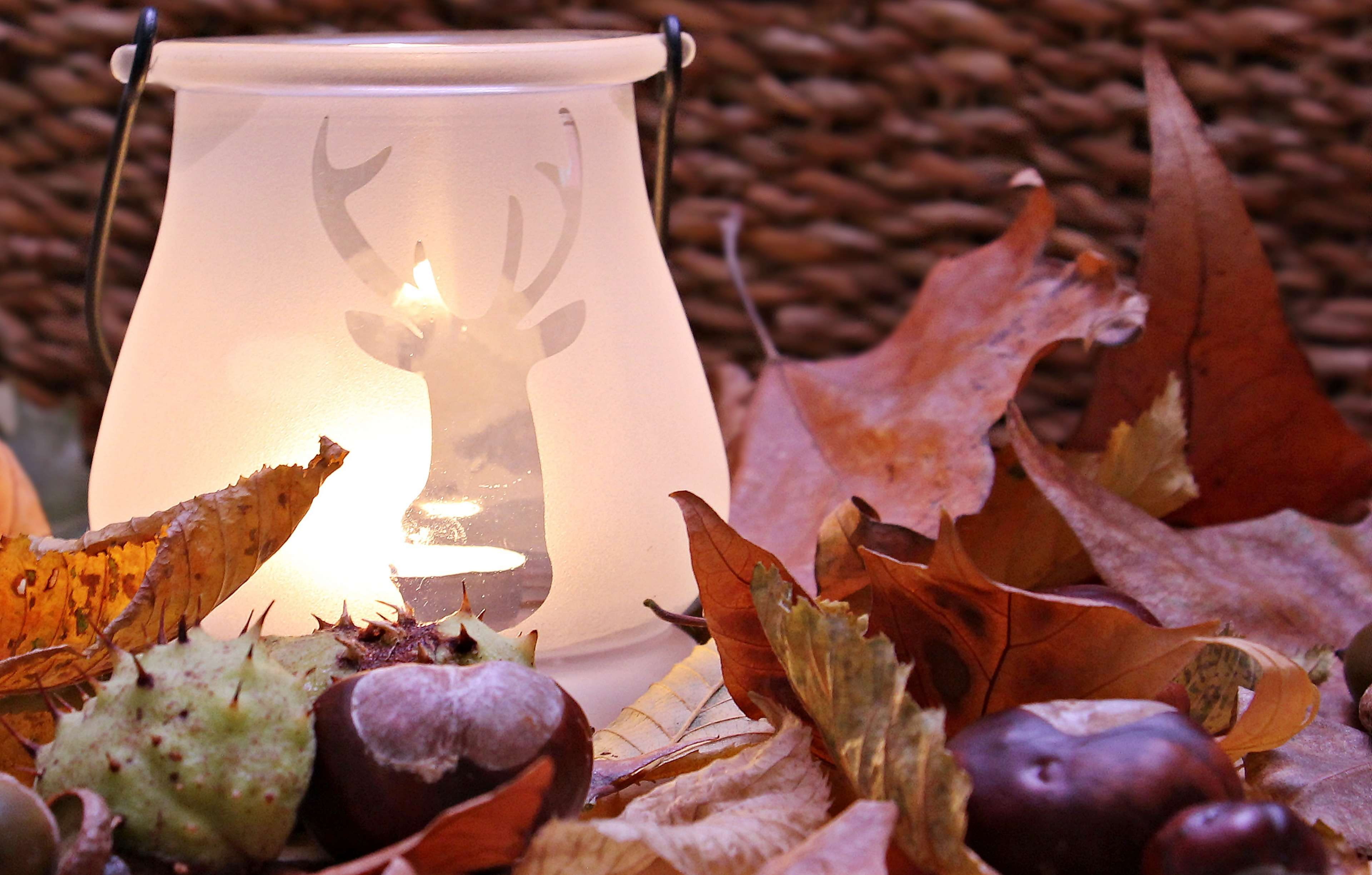 burning, candle, autumn, no people, chestnut, colors of autumn, fire - natural phenomenon, decoration, 4K, christmas, season, leaves, plant part, illuminated, HD Wallpaper