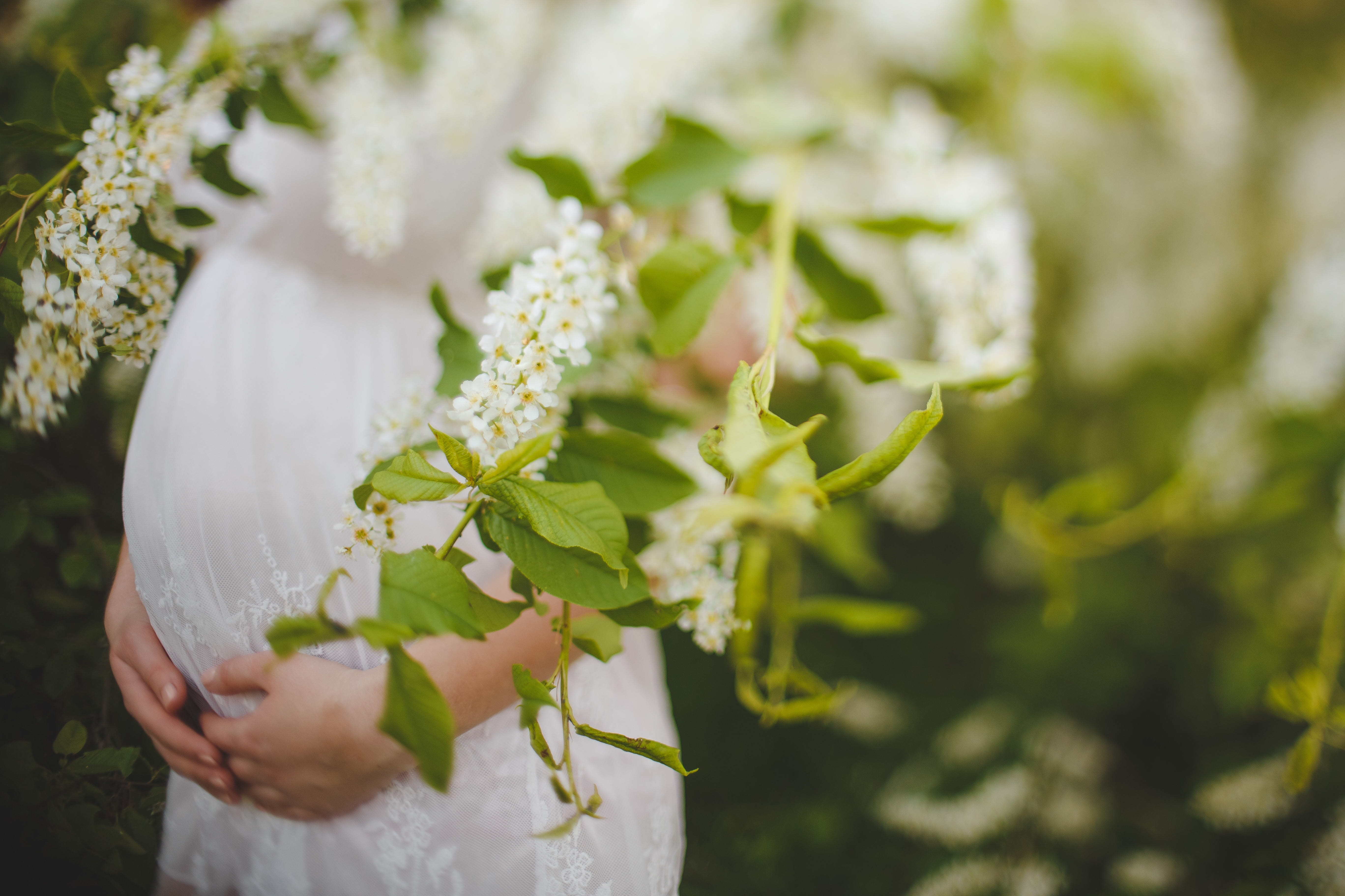 happiness, selective focus, freshness, life events, wedding ceremony, white color, pregnancy, wedding, cute, mom, life, woman, 5K, plant, bride, wedding dress, HD Wallpaper