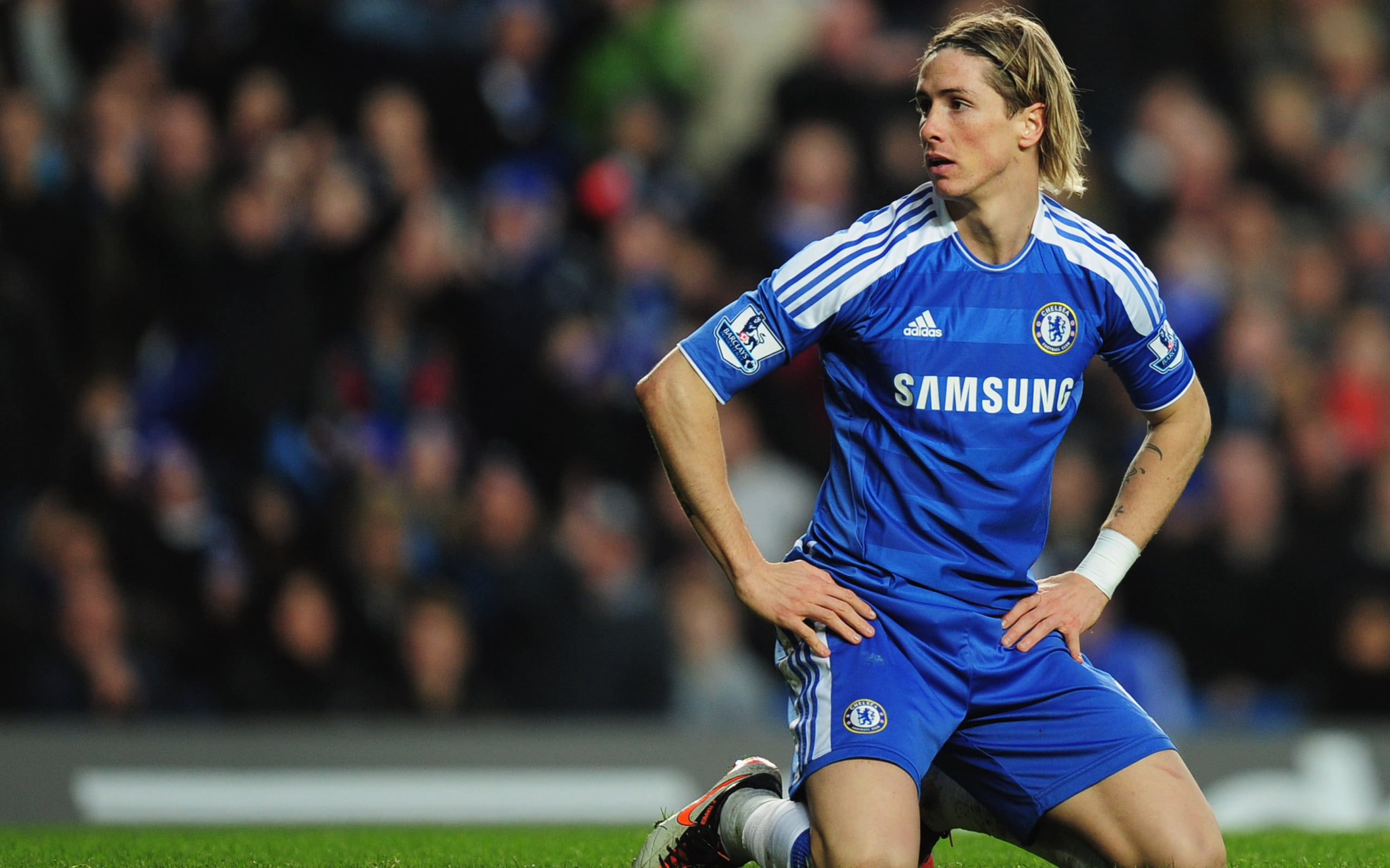 Football, spectator, sportsman, front view, torres, jersey, s, one person, sports clothing, stadium, blue, men, sport, three quarter length, sit, athlete, HD Wallpaper