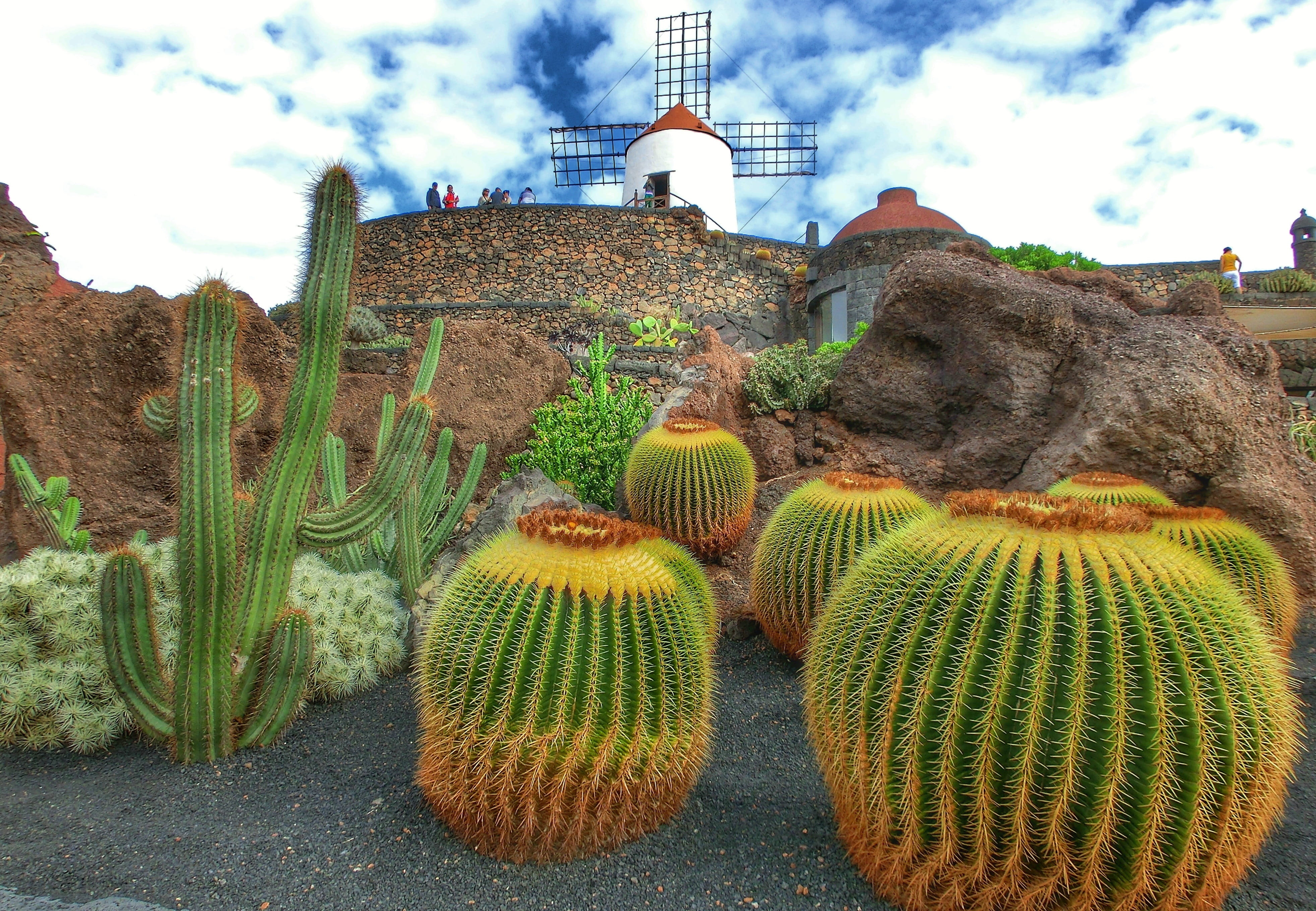 outdoors, building exterior, nature, plant, tree, building, built structure, travel destinations, growth, 4K, travel, garden, jardin de cactus, sky, architecture, HD Wallpaper