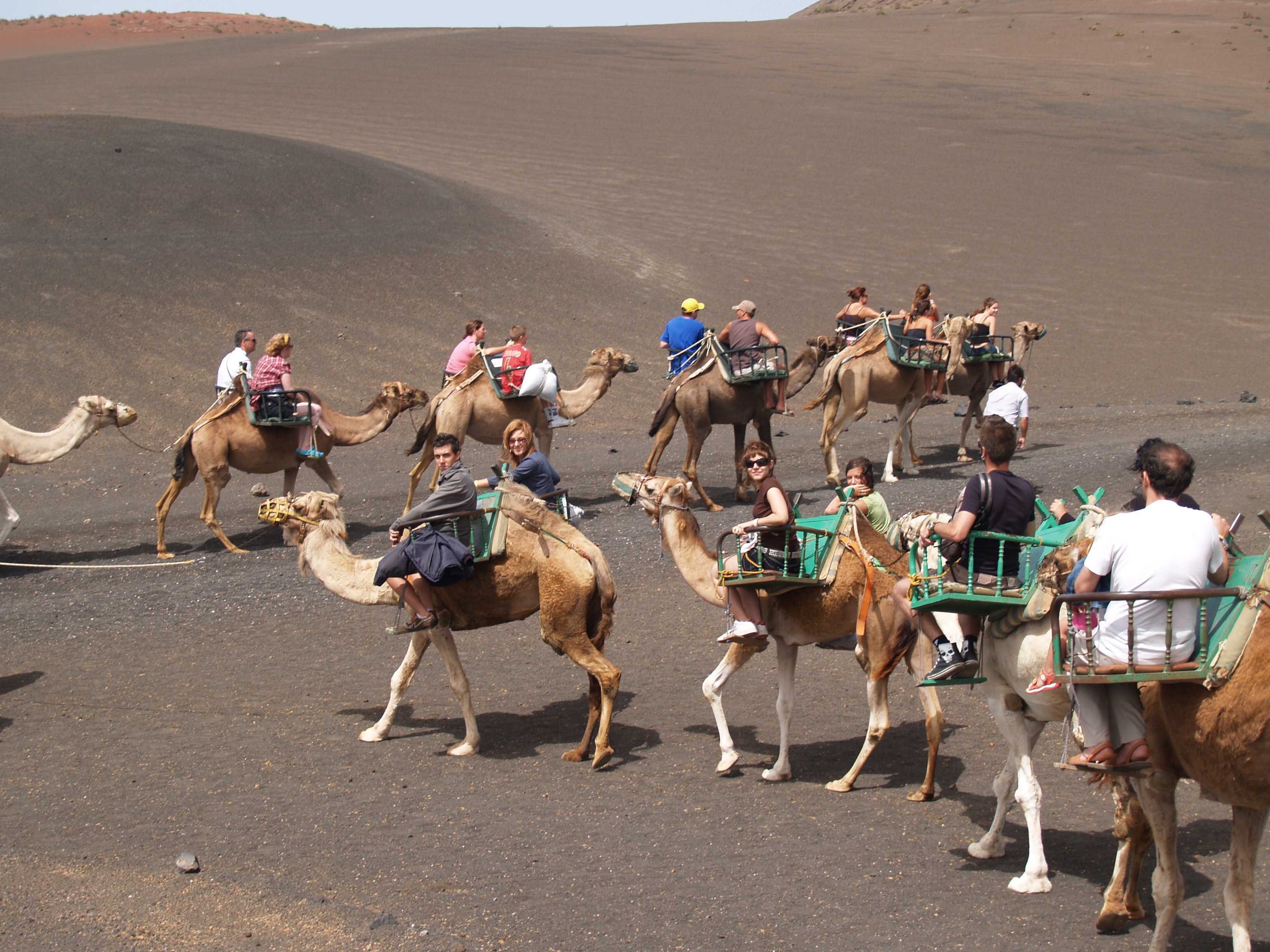 nature, 2K, sand, lanzarote, real people, crowd, day, arid climate, pets, mammal, adult, men, land, working animal, domestic animals, group of people, HD Wallpaper