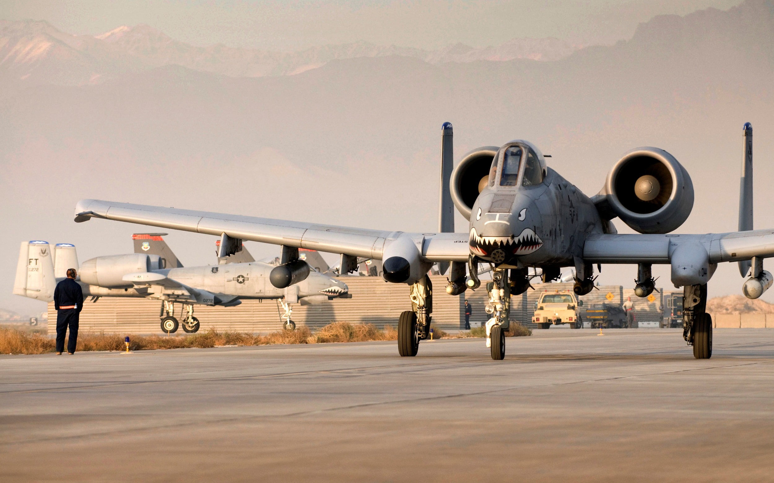 aggression, military aircraft, runway, military, Fairchild A-10 Thunderbolt II, air vehicle, fighter plane, transportation, mode of transportation, nature, HD Wallpaper
