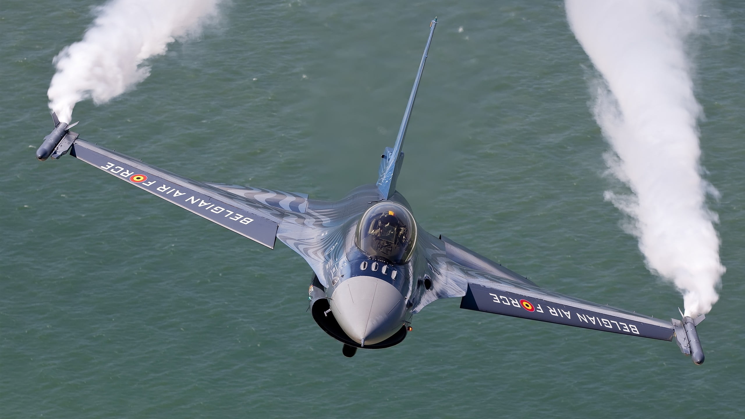 on the move, gray, mid-air, airplane, 2K, nautical vessel, animal, nature, high angle view, transportation, motion, water, speed, no people, Belgian Air Force, HD Wallpaper