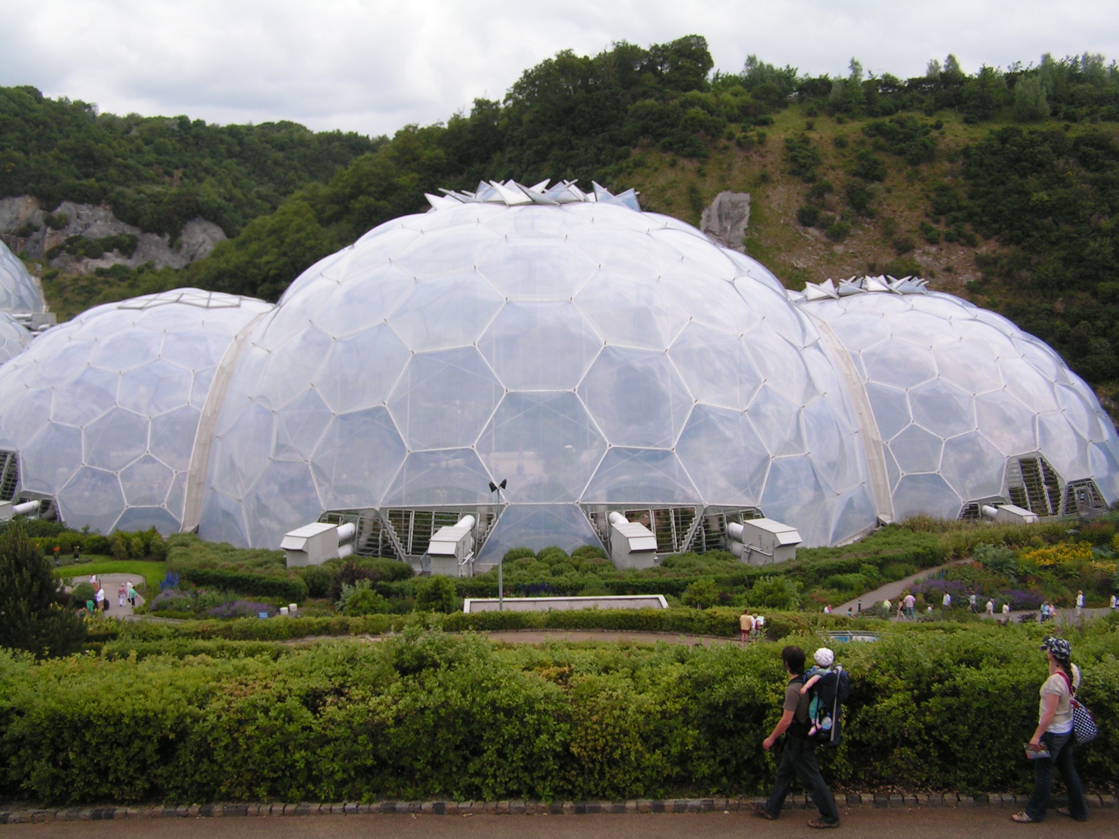 outdoors, garden exhibition, greenhouse, day, plant, sky, turtle, tree, beauty in nature, incidental people, cornwall, growth, green color, 1080P, standing, HD Wallpaper