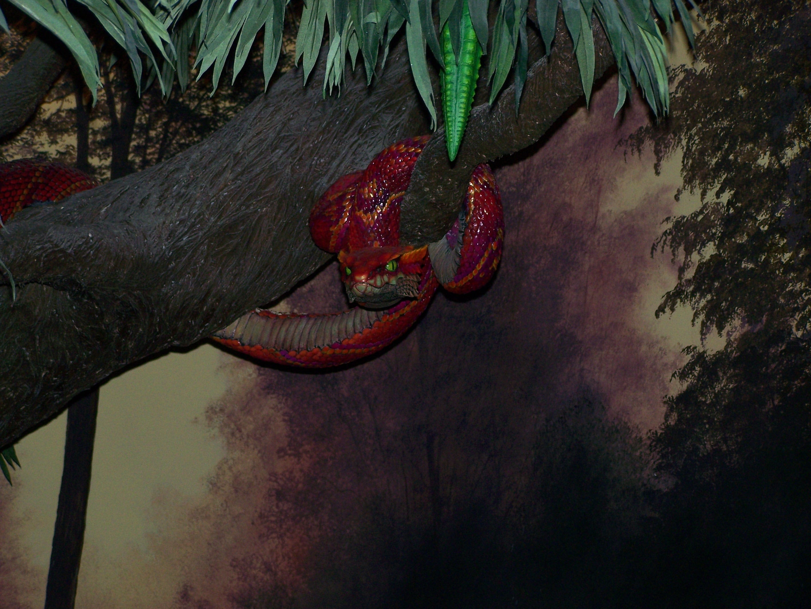 2K, nature, red, hanging, branch, day, plant, art and craft, growth, tree, evil, wall - building feature, green color, low angle view, eden, temptation, HD Wallpaper
