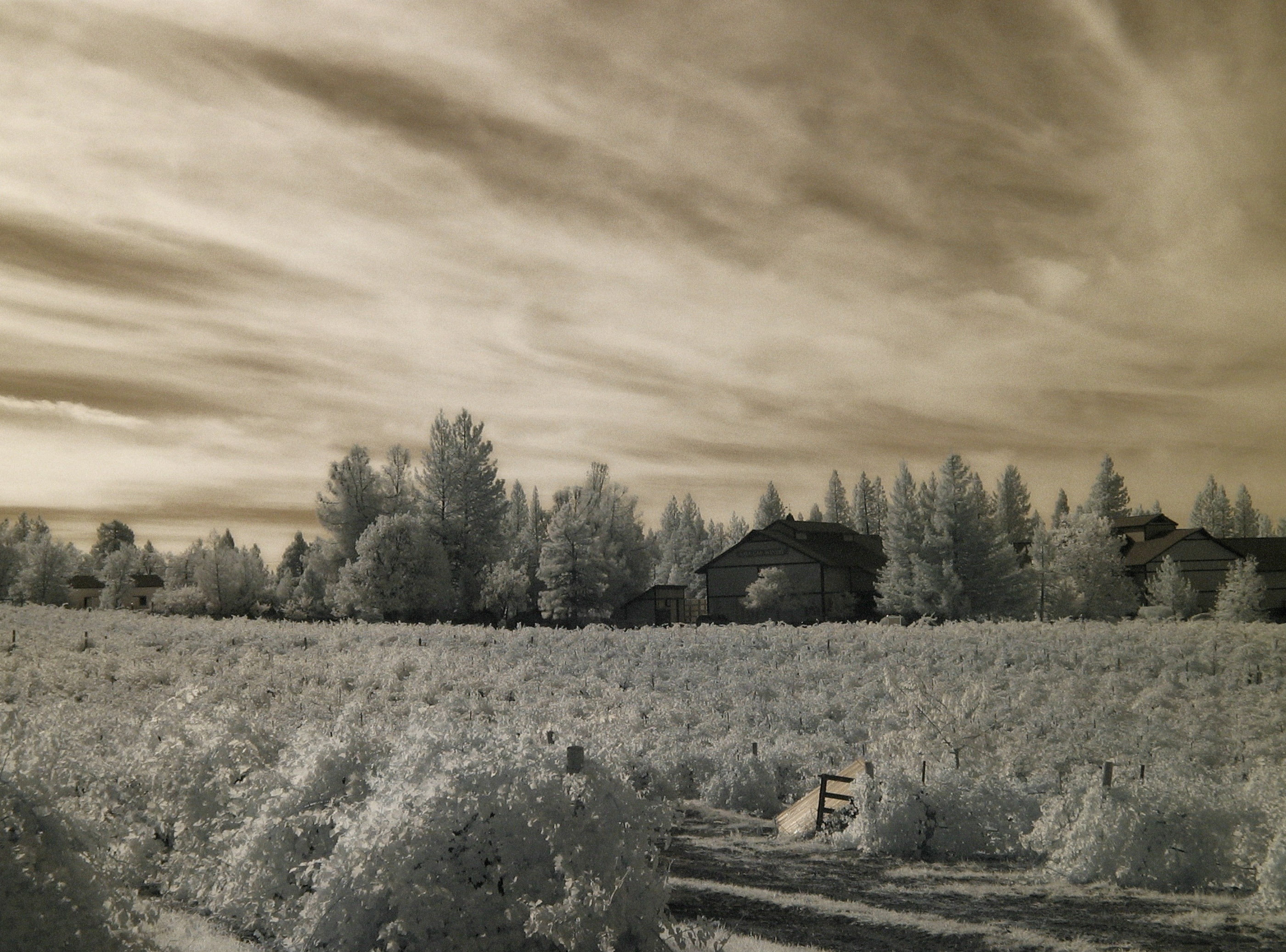 agricultural building, environment, building exterior, lava, tranquil scene, beauty in nature, infrared, scenics - nature, California, tree, built structure, HD Wallpaper