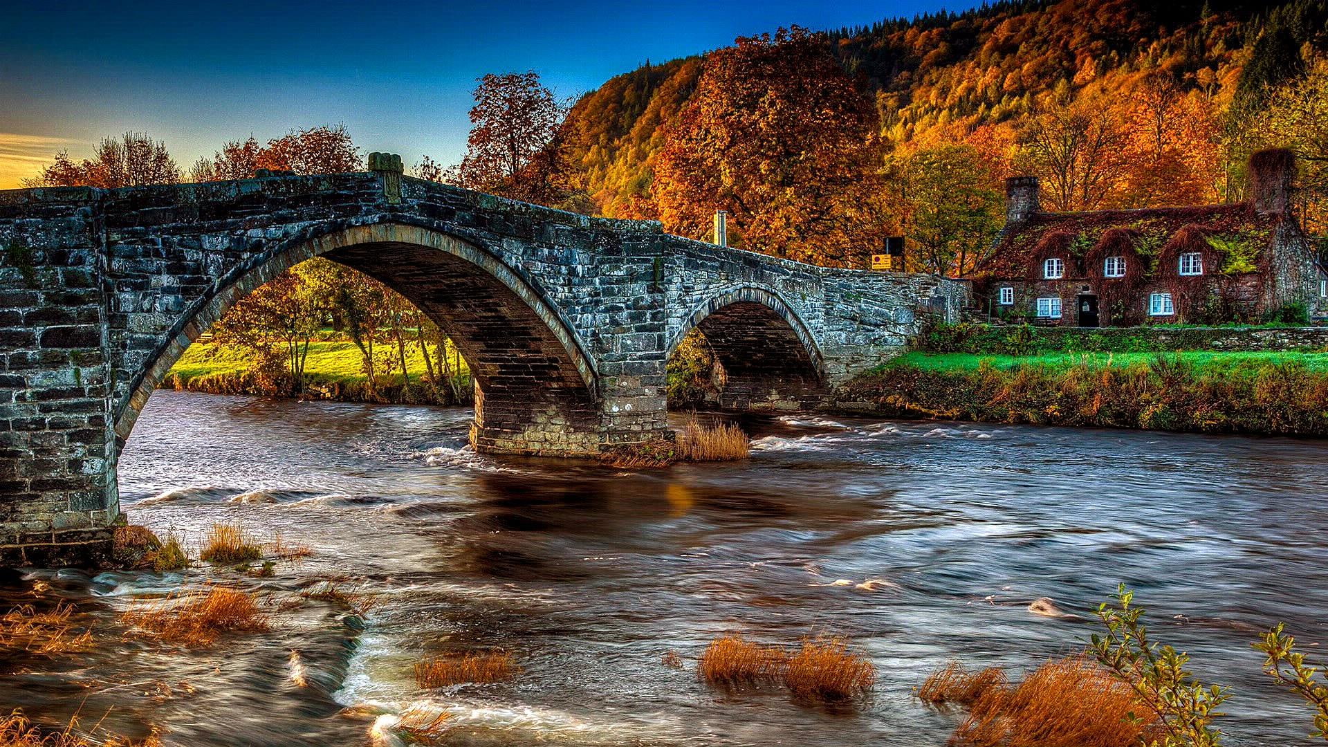 river conwy, tree, snowdonia, conwy, bank, nature, 1080P, landscape, river, tu hwnt ir bont, europe, wales, sky, autumn, llanrwst, evening, united kingdom, HD Wallpaper