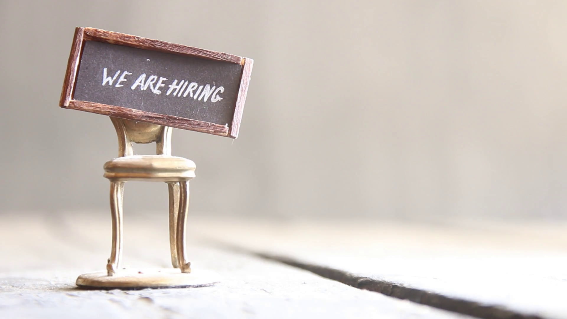 1080P, the, idea, recruiting, job, iring, chair, texts, are, golden, HD Wallpaper