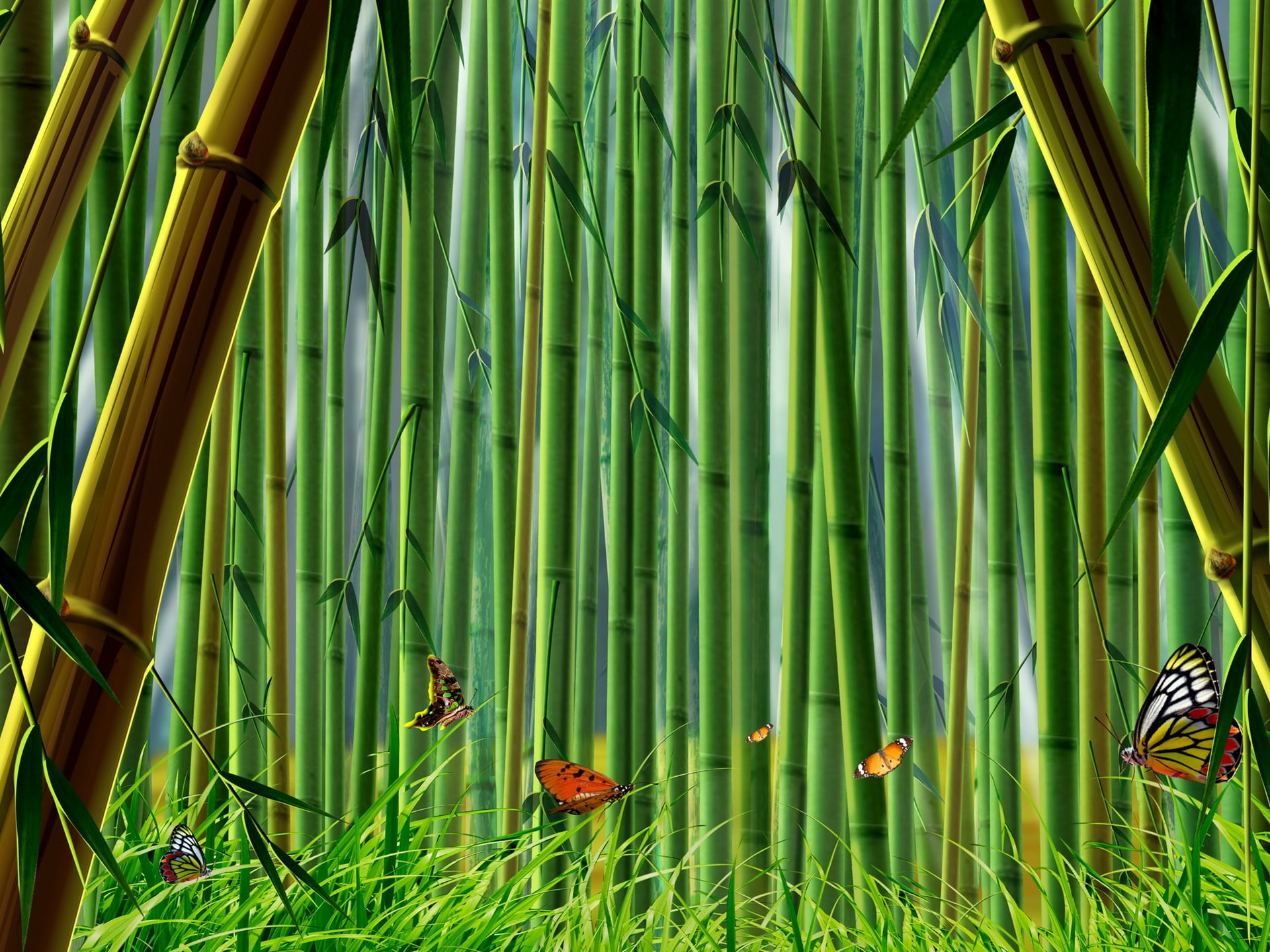 Grass, Forest, Bamboo, Butterflies, 1080P, HD Wallpaper