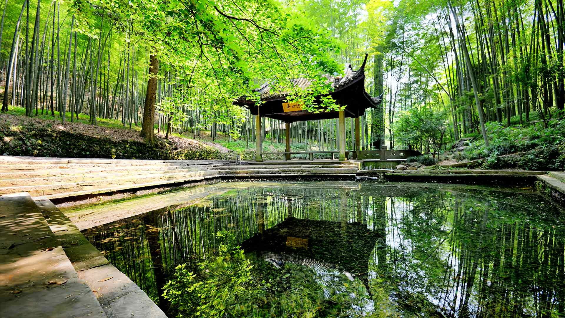 summer, pond, wood - Material, nature, building, Asian architecture, trees, hut, woodland, black, non-urban scene, beauty In Nature, green Color, tranquil Scene, HD Wallpaper