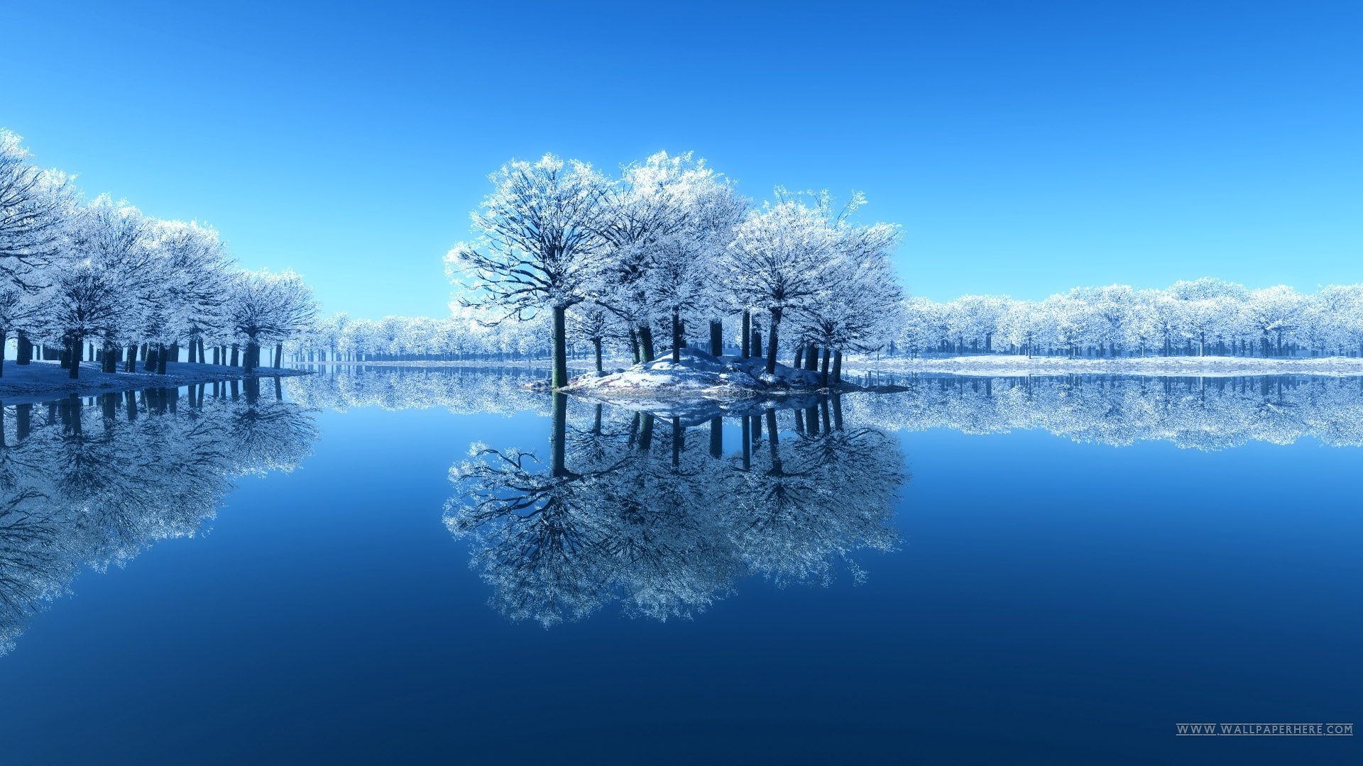 desktop, earth, white, winter, winter lake, hd, nature view, water, forest, white forest, lake, view, water reflection, 1080P, reflection, nature, HD Wallpaper