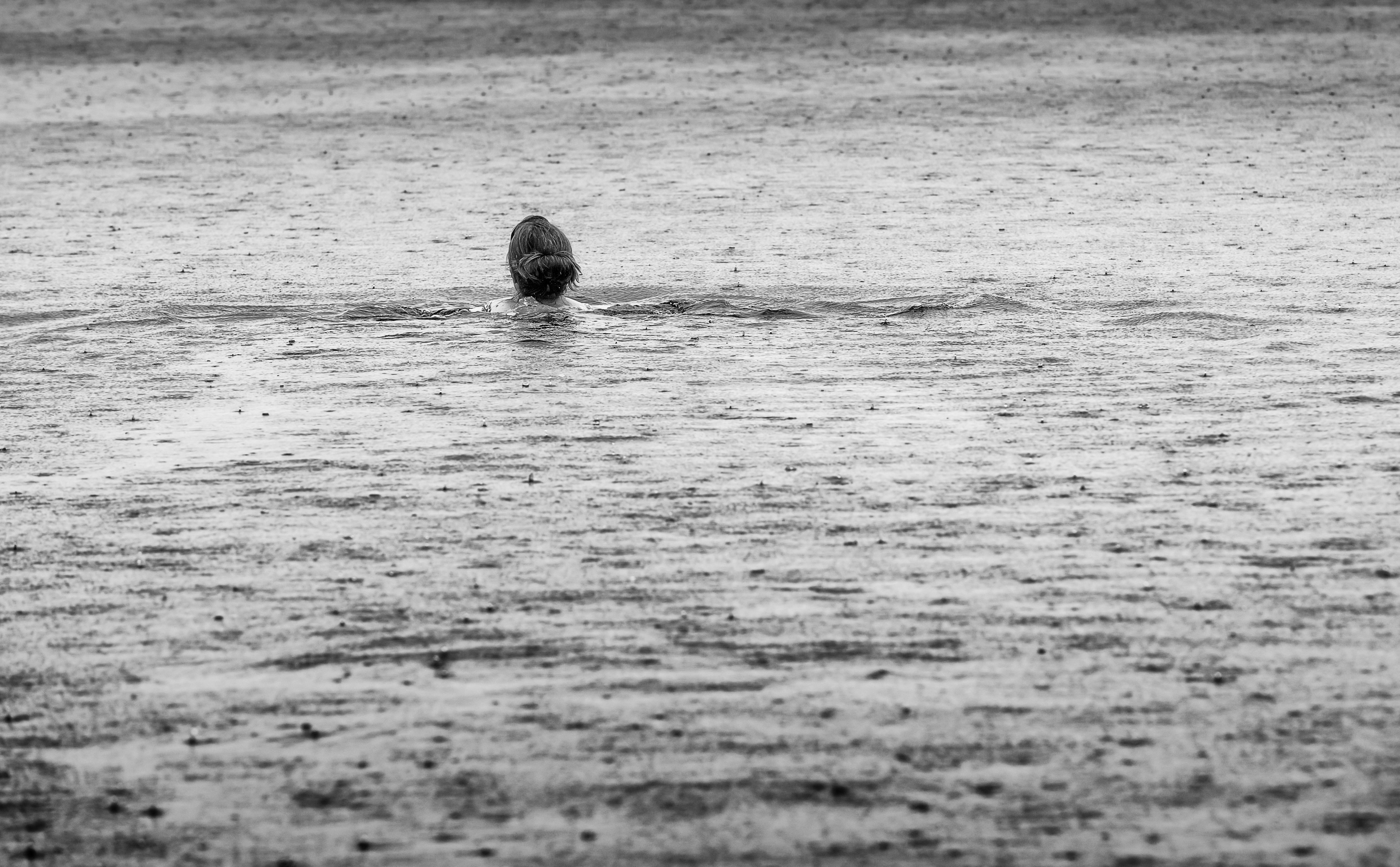 White, mammal, animal wildlife, animal, animals in the wild, 70200mm, Black, 5K, Water, Finland, Black and White, 70200mmf28, land, Drops, selective focus, HD Wallpaper
