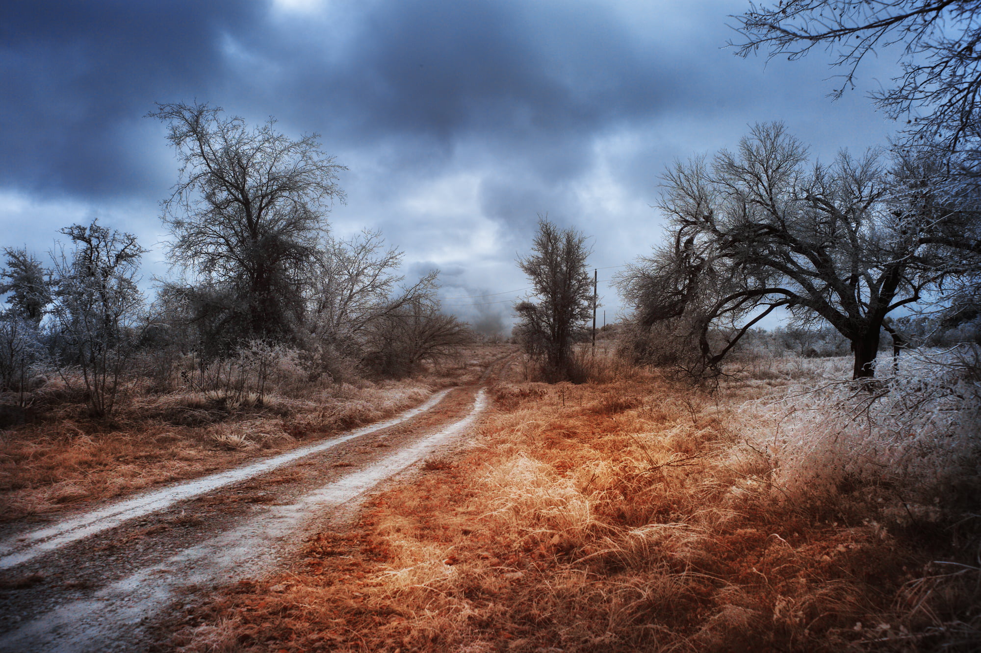 blue  ice, forest, leafless, grass, the road less traveled, road, the road not taken, scenics, poetry, storm, nimbus, 1080P, red  blue, sky, autumn, tree, HD Wallpaper
