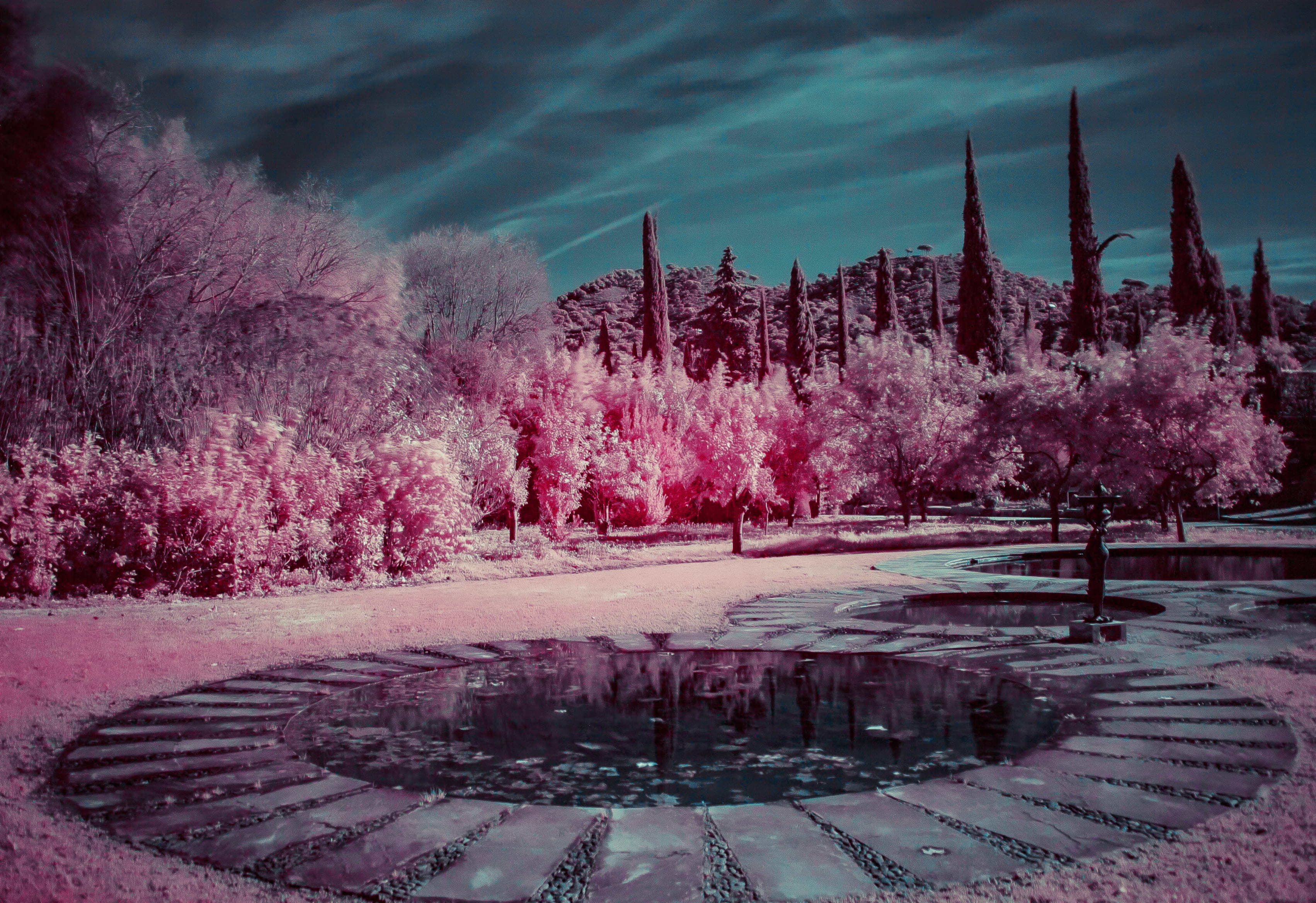 tranquil scene, park, plant, cloud - sky, landscape, tranquility, growth, pink color, infrared, round, forest, garden, night, tree, nature, environment, HD Wallpaper