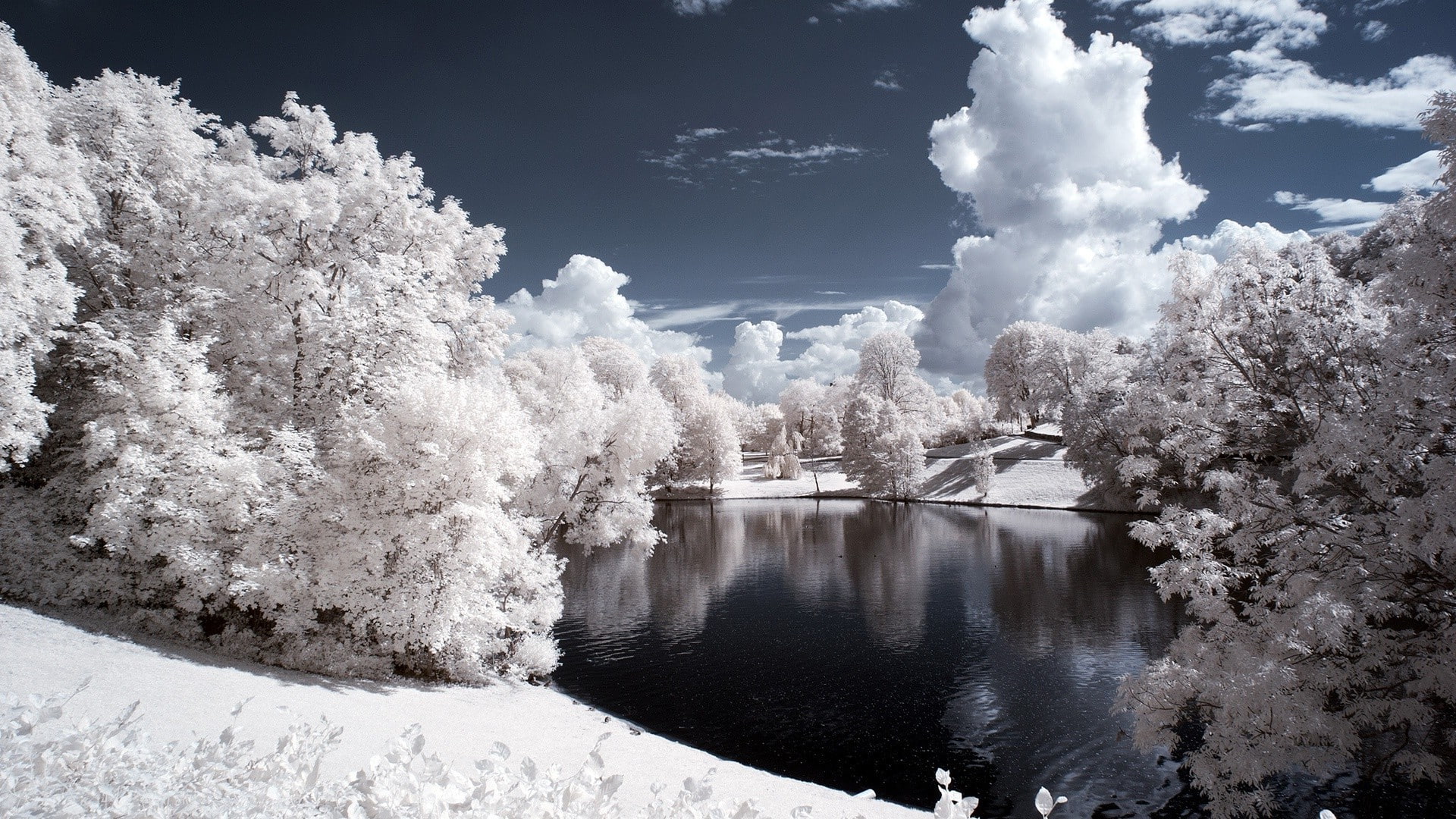 no people, lake, beauty in nature, nature, tranquil scene, cold temperature, tranquility, simple background simple lake pond nature snow trees landscape infrared, HD Wallpaper
