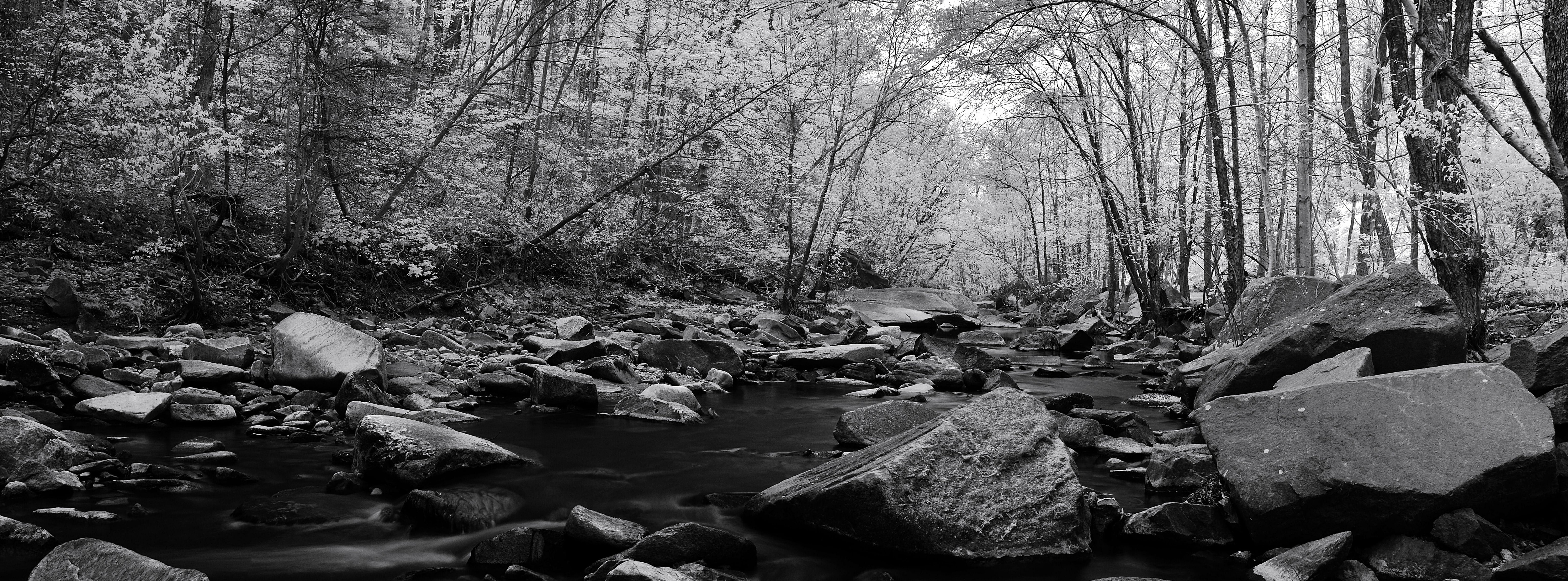 lake, solid, plant, pohickcreek, 5K, Virginia, grayscale, rock - object, tranquility, nature, tree, white, microsoftice, rock, non-urban scene, tranquil scene, HD Wallpaper