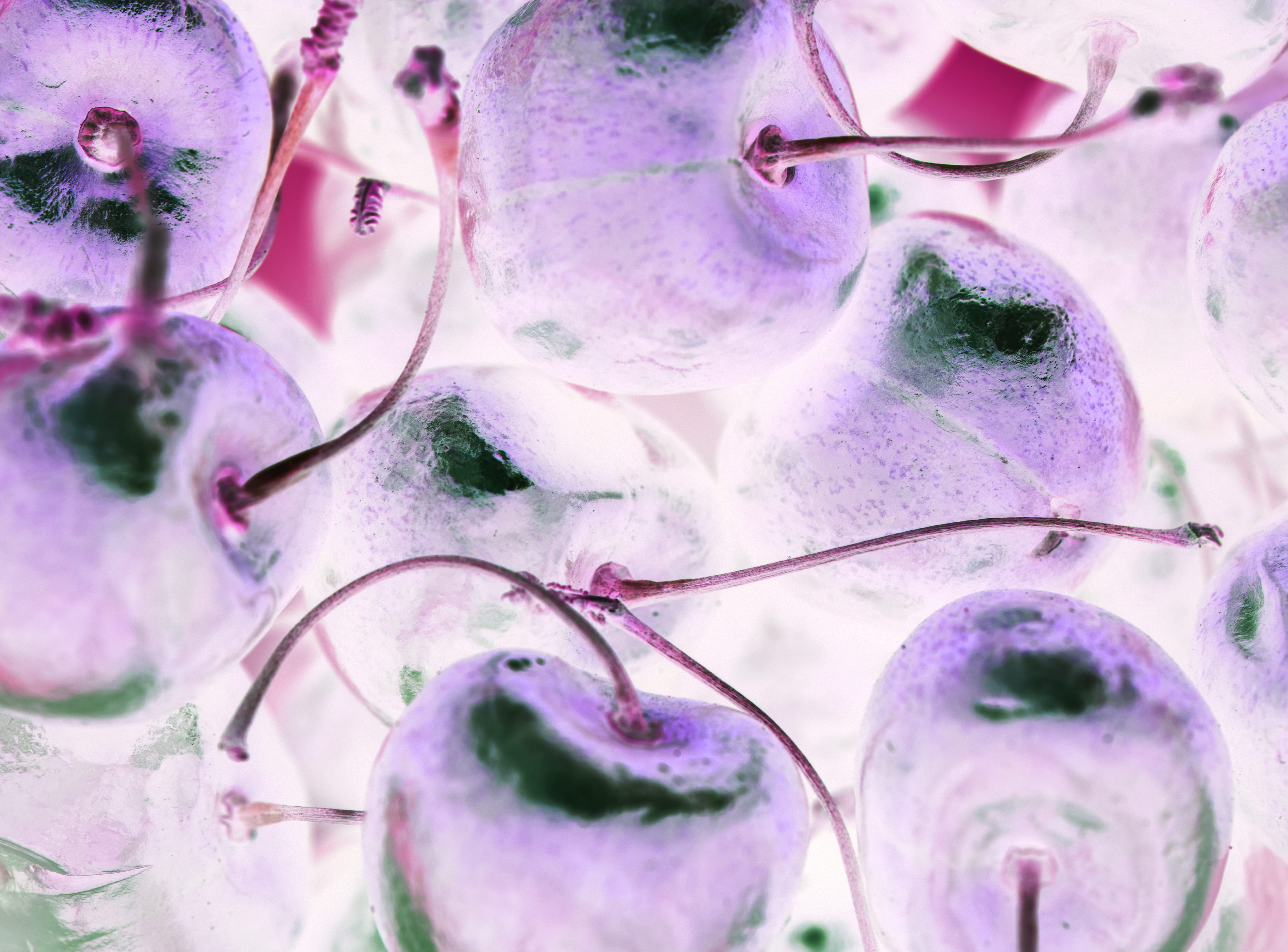 food, textured, season, beauty In Nature, eat, organic, backgrounds, flower Head, ripe, infrared, 4K, plant, healthy, flower, cherry, vitamin, close-up, HD Wallpaper