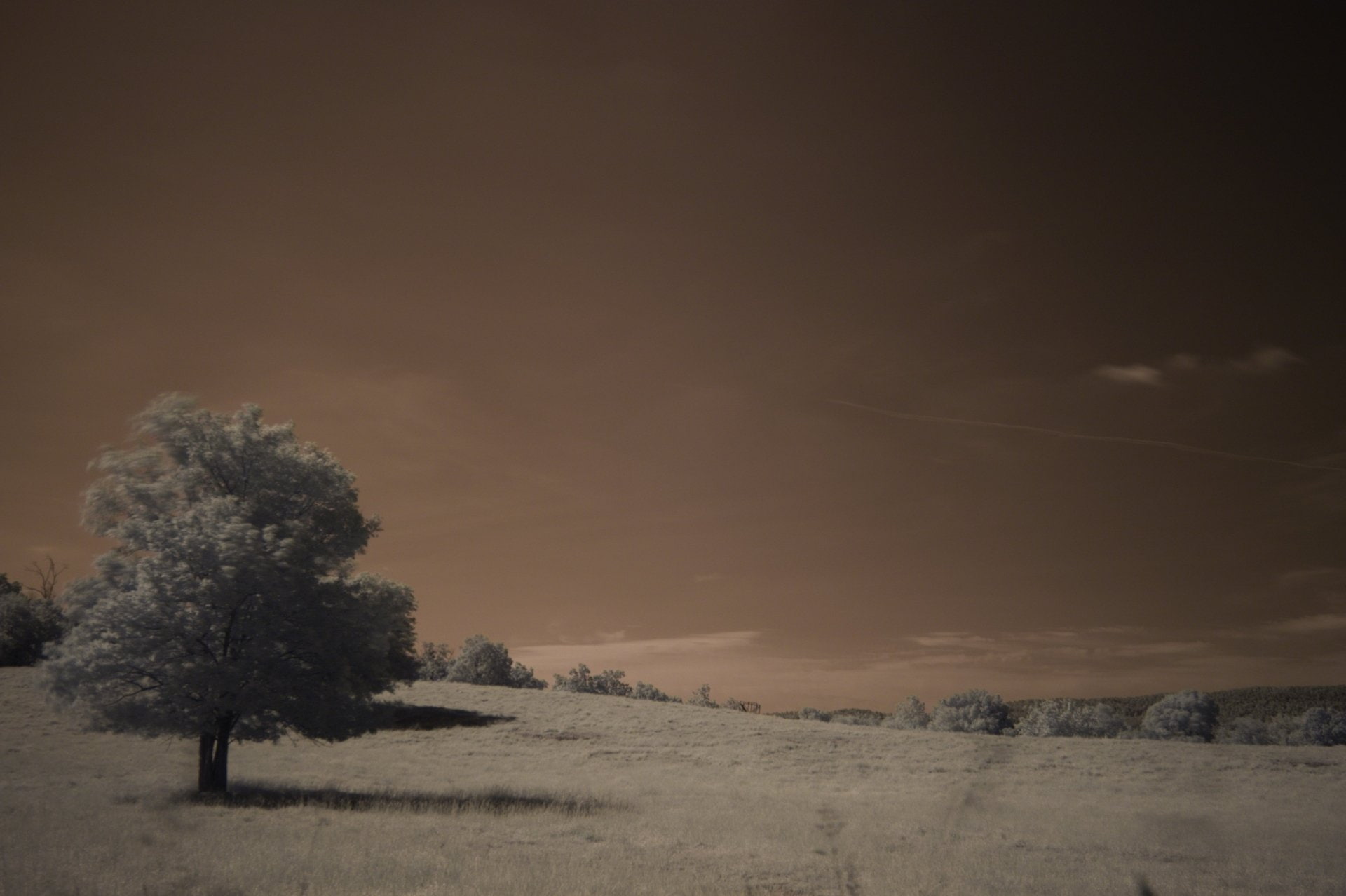 1080P, Infrared, Photography, HD Wallpaper