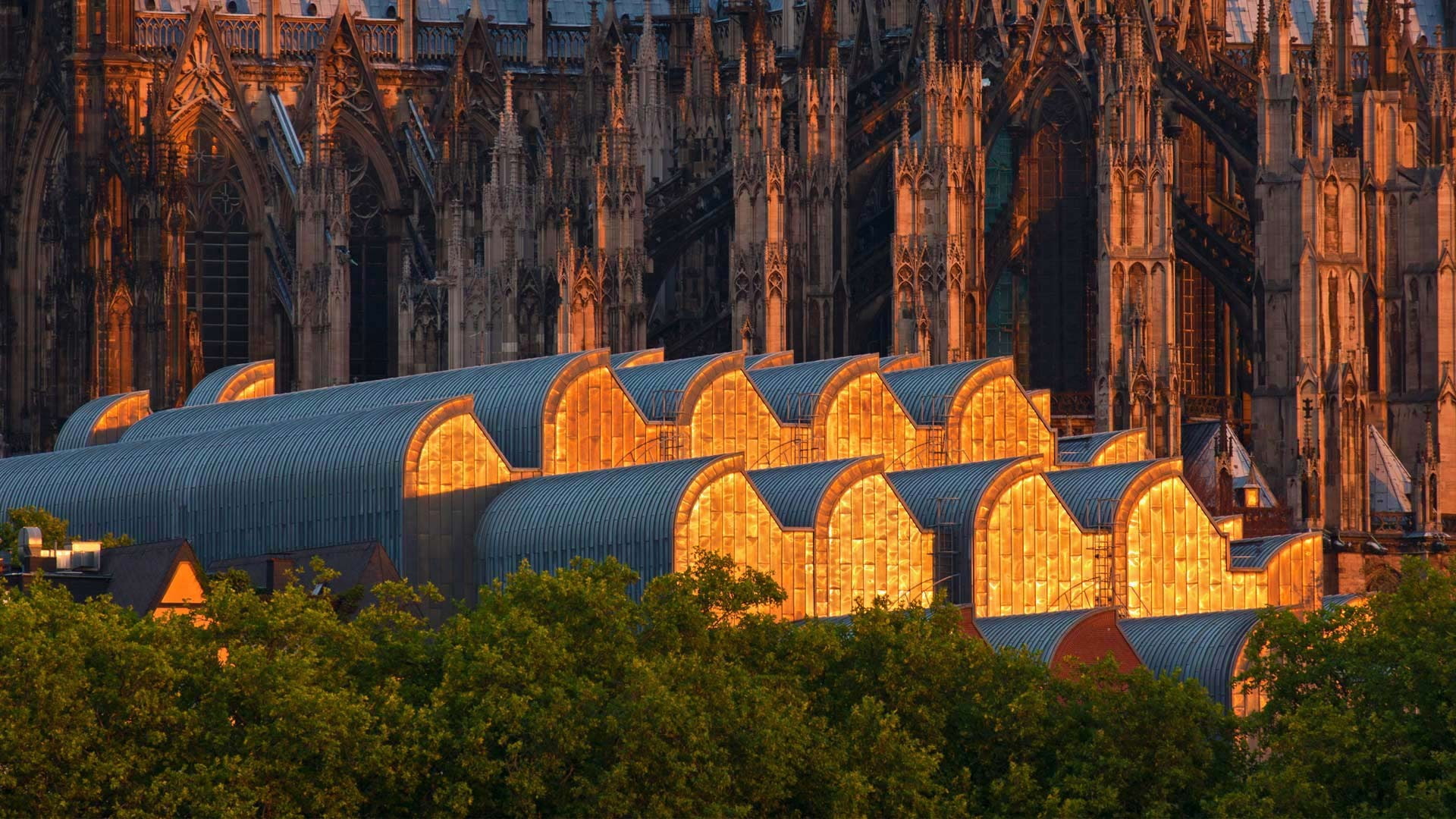 sunlight, building, Cologne Cathedral, cityscape, Cologne, architecture, Gothic architecture, rooftops, Germany, cathedral, city, museum, trees, 1080P, HD Wallpaper
