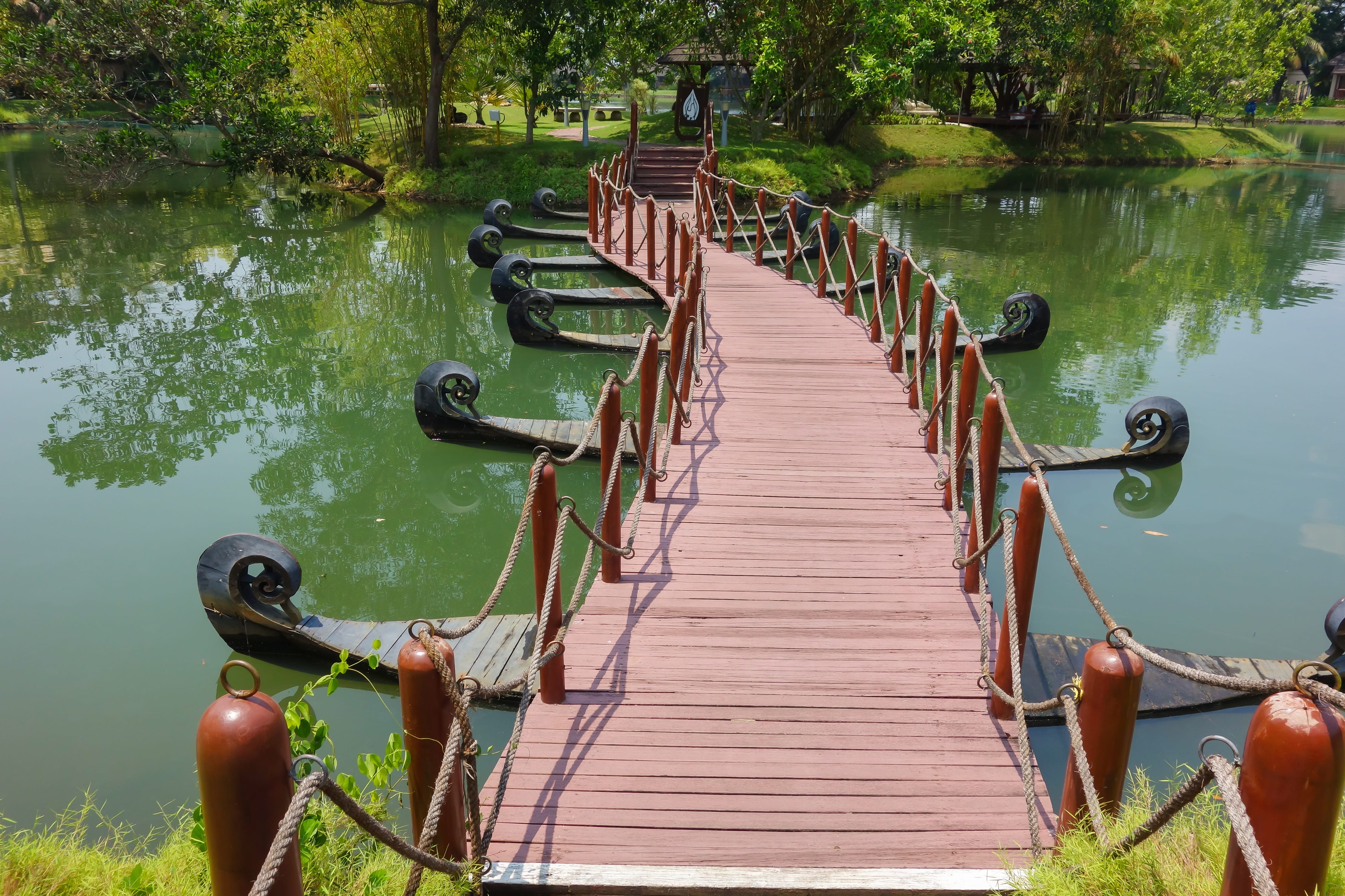 built structure, transportation, green, day, outdoors, tranquil scene, wooden bridge, tree, kerala boat, wood, 4K, nature, passage, water, connection, HD Wallpaper