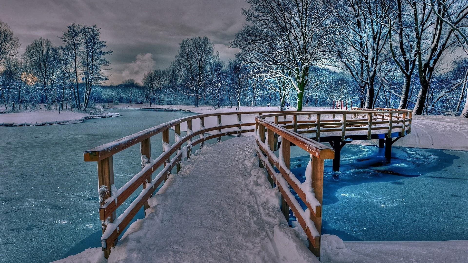 winter, wood, brown, hdr, bridge, wonderful, footbridge, trees, river, 1080P, wooden, nature and landscapes, HD Wallpaper