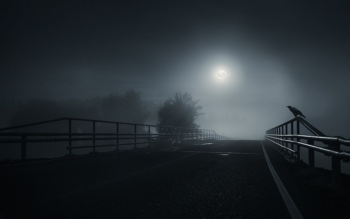 road, bridge, mist, birds, Moon, landscape, dark, night, crow, black, 480P, nature, trees, HD Wallpaper