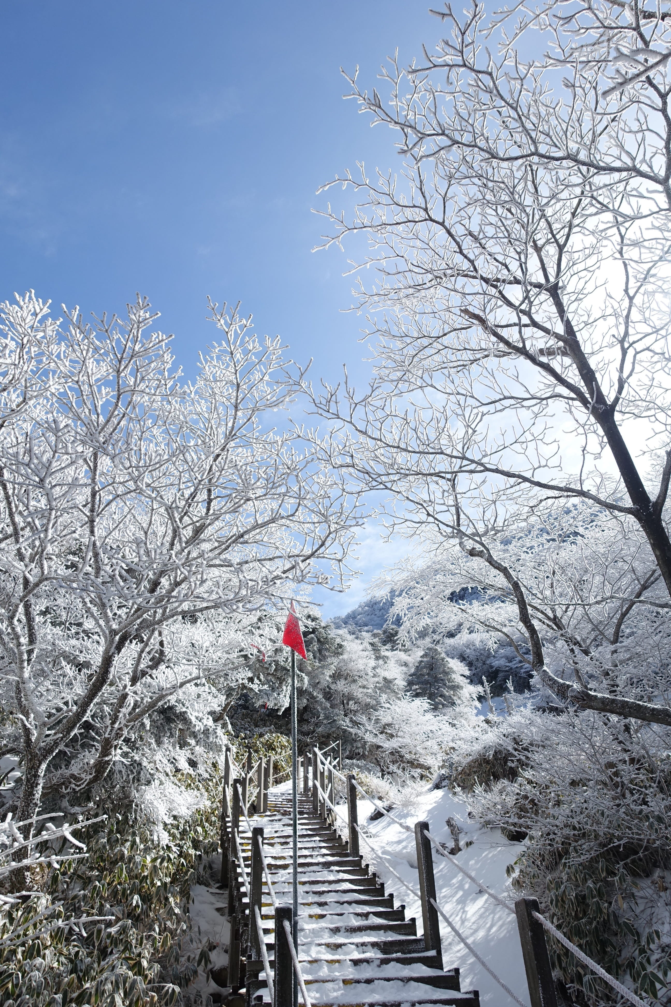 landscape, cold temperature, hallasan strange, tree, jeju, diminishing perspective, 4K, republic of korea, Winter, winter mountain, railing, no people, Phone HD Wallpaper