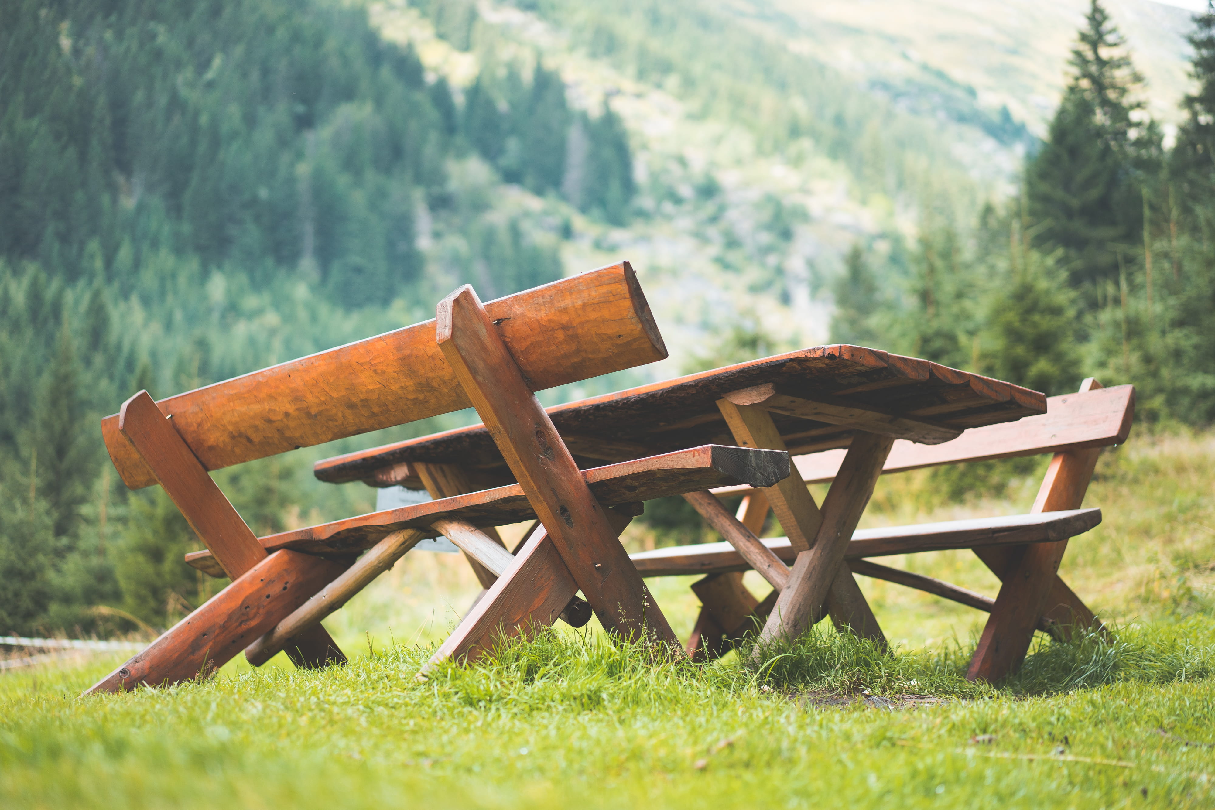 no People, woods, tranquil Scene, woodland, bench, tree, rural Scene, seat, Mountains, scenics - nature, Middle, trees, field, idyllic, wood - Material, HD Wallpaper