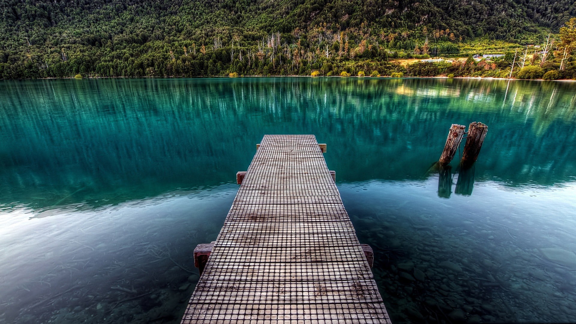trees, landscape, forest, wooden, calm, 1080P, reflection, pier, stones, wooden surface, wood, hdr, surface, nature, water, lake, HD Wallpaper