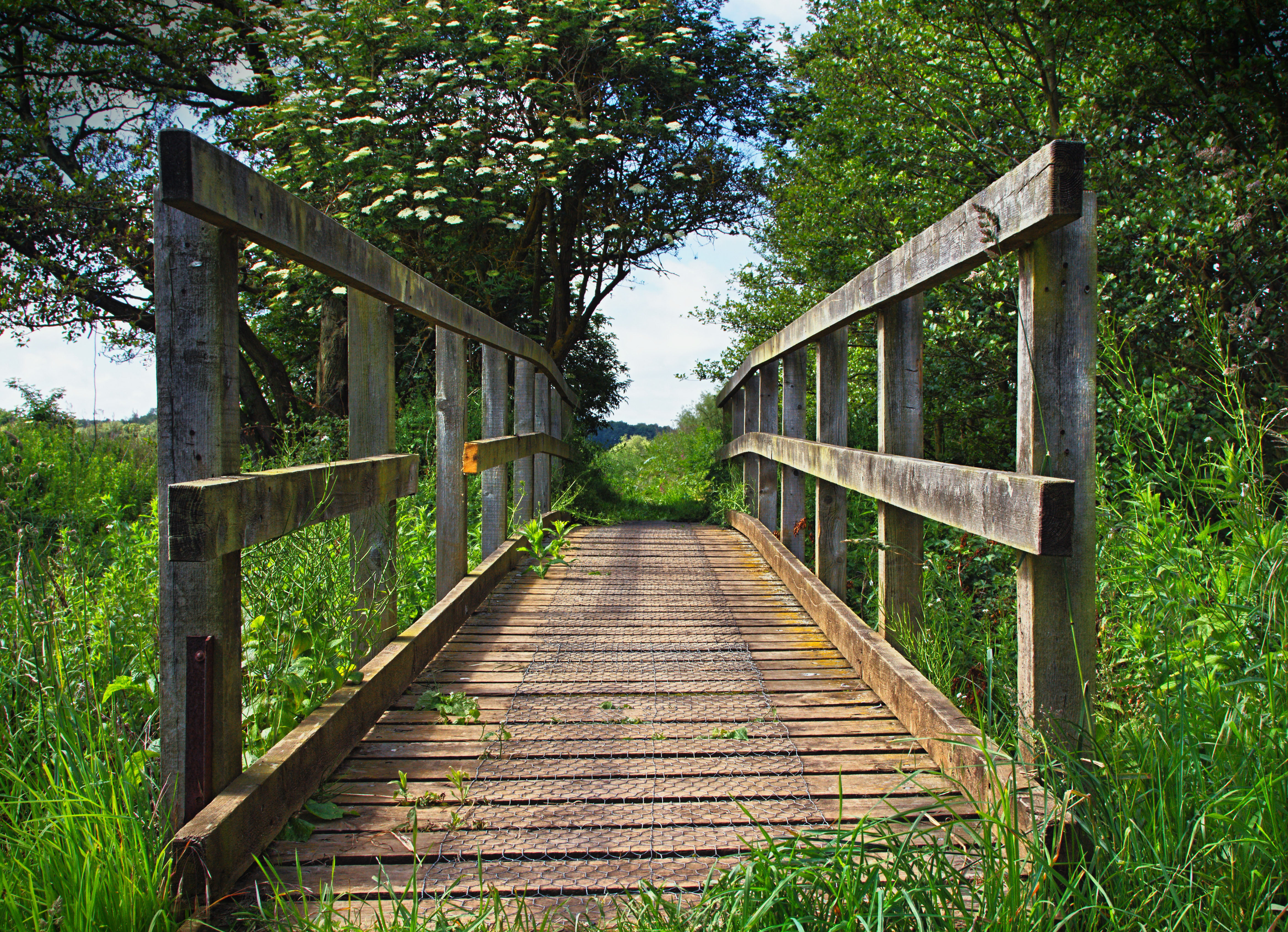 Canon, outdoors, green grass, Norfolk, North walsham, footpath, Lines, Perspective, grass, nature, wooden bridge, Kiss, 4K, brown, grass  trees, wood - Material, HD Wallpaper